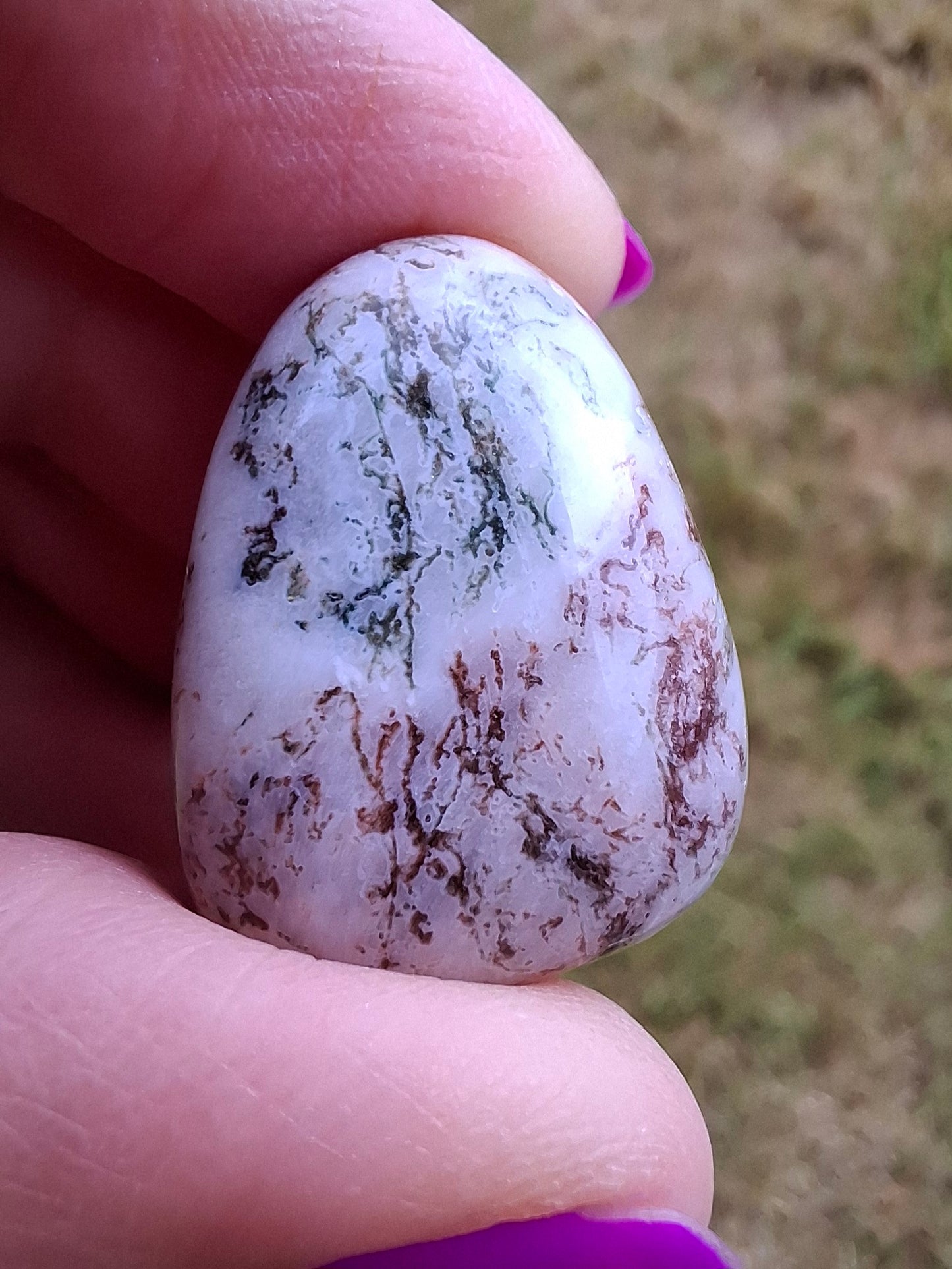 Tree Agate, Tumble Stone, Crystal (Ref: T6)