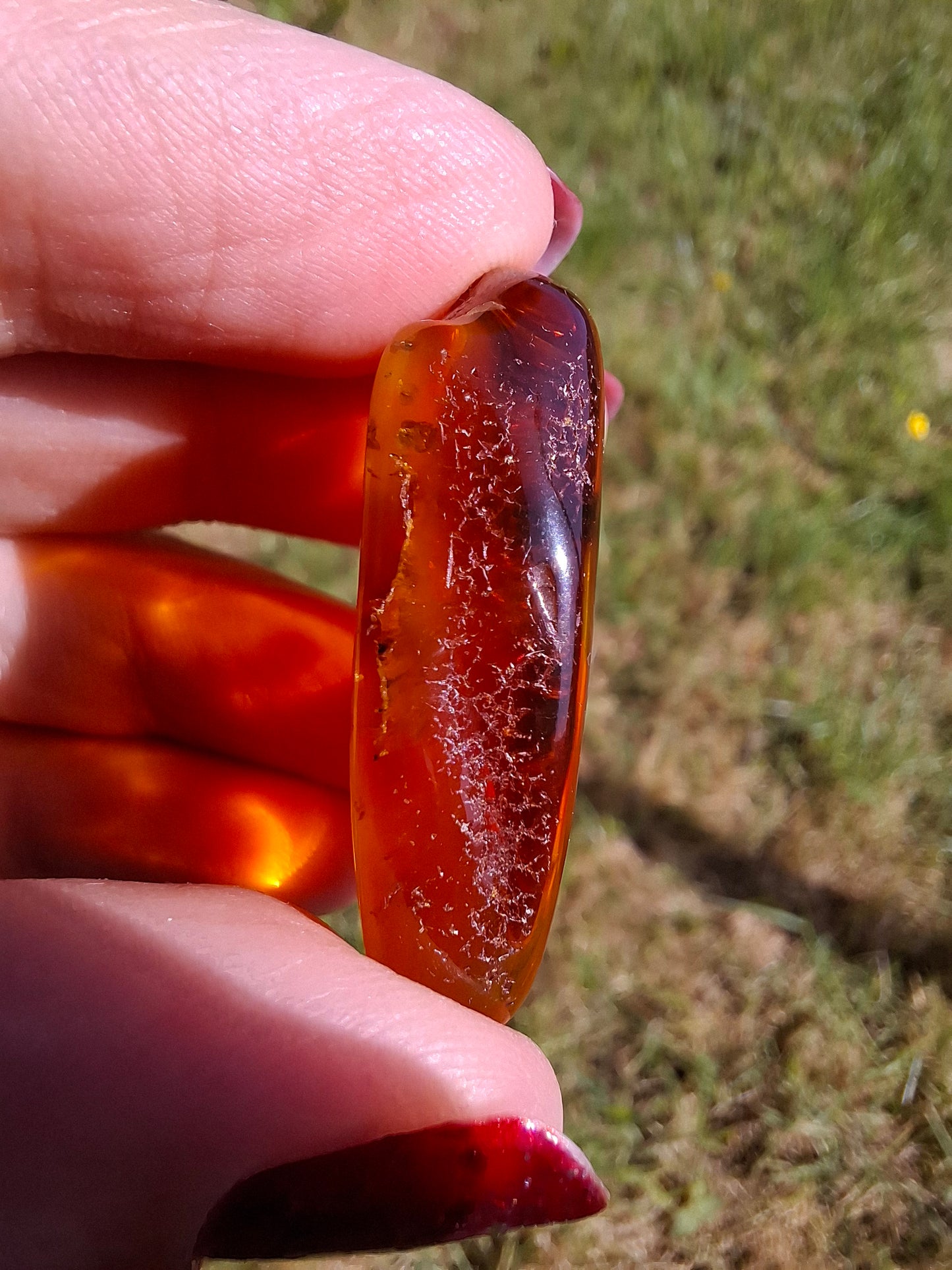Baltic Amber, 4.50g, Fossil (Ref: A151)