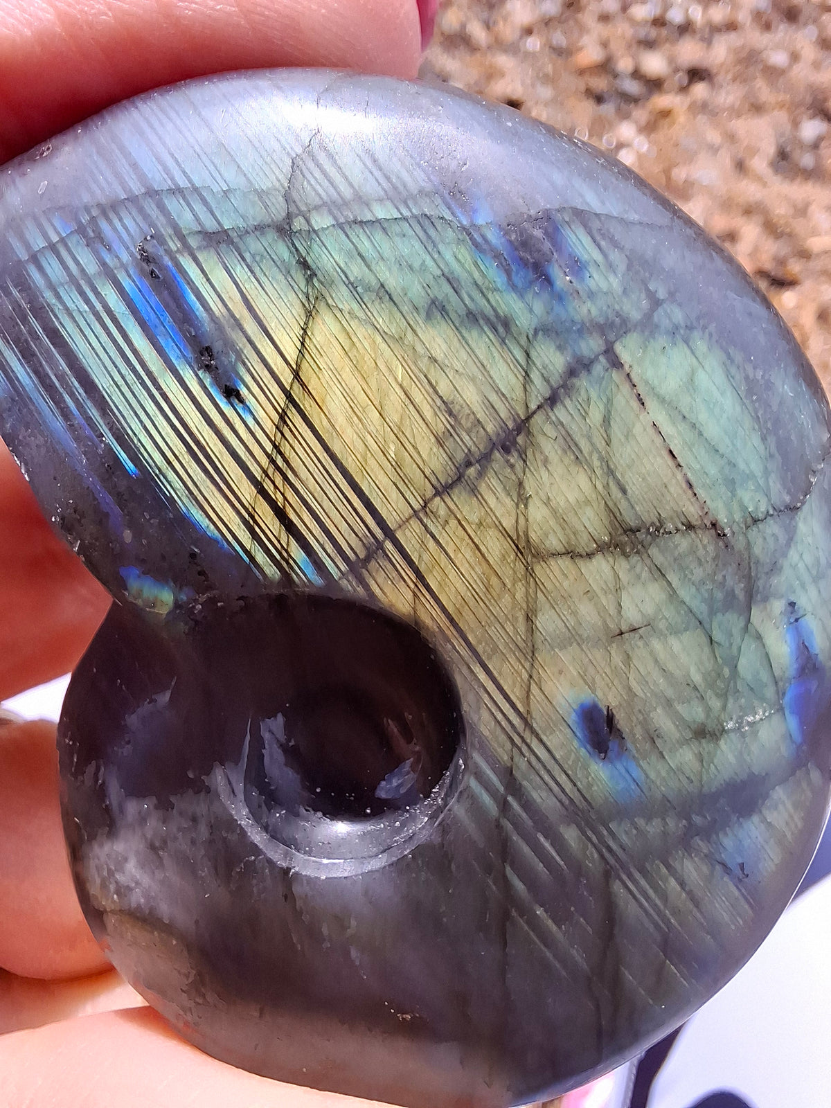 Labradorite Ammonite carving, 96.88g, Crystal (Ref: laba1)