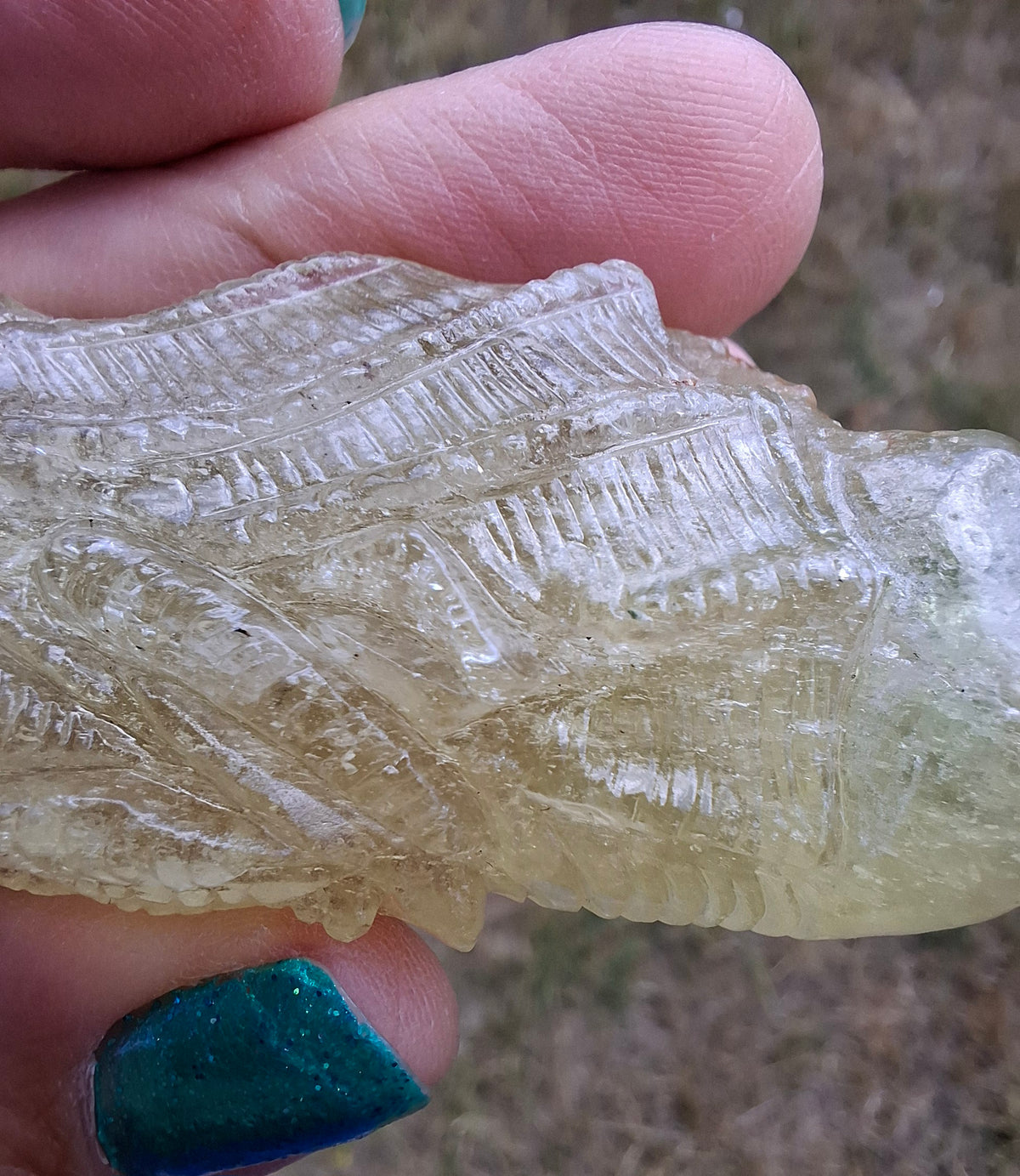 Libyan Desert Glass DRAGON HEAD carving, 48.11g, Tektite (Ref: Dragon4)