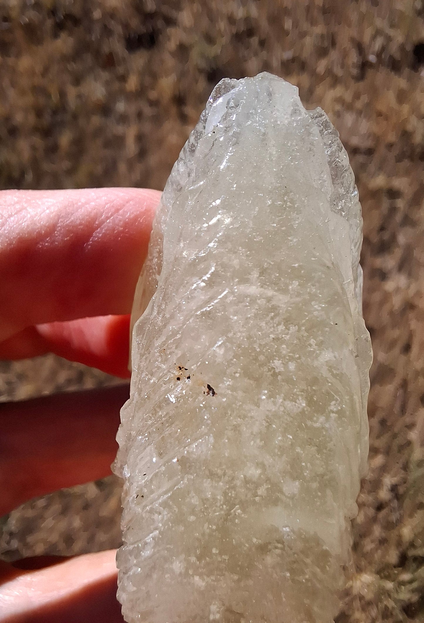 Libyan Desert Glass DRAGON HEAD Carving, 75.84g, Tektite (Ref: Dragon1)