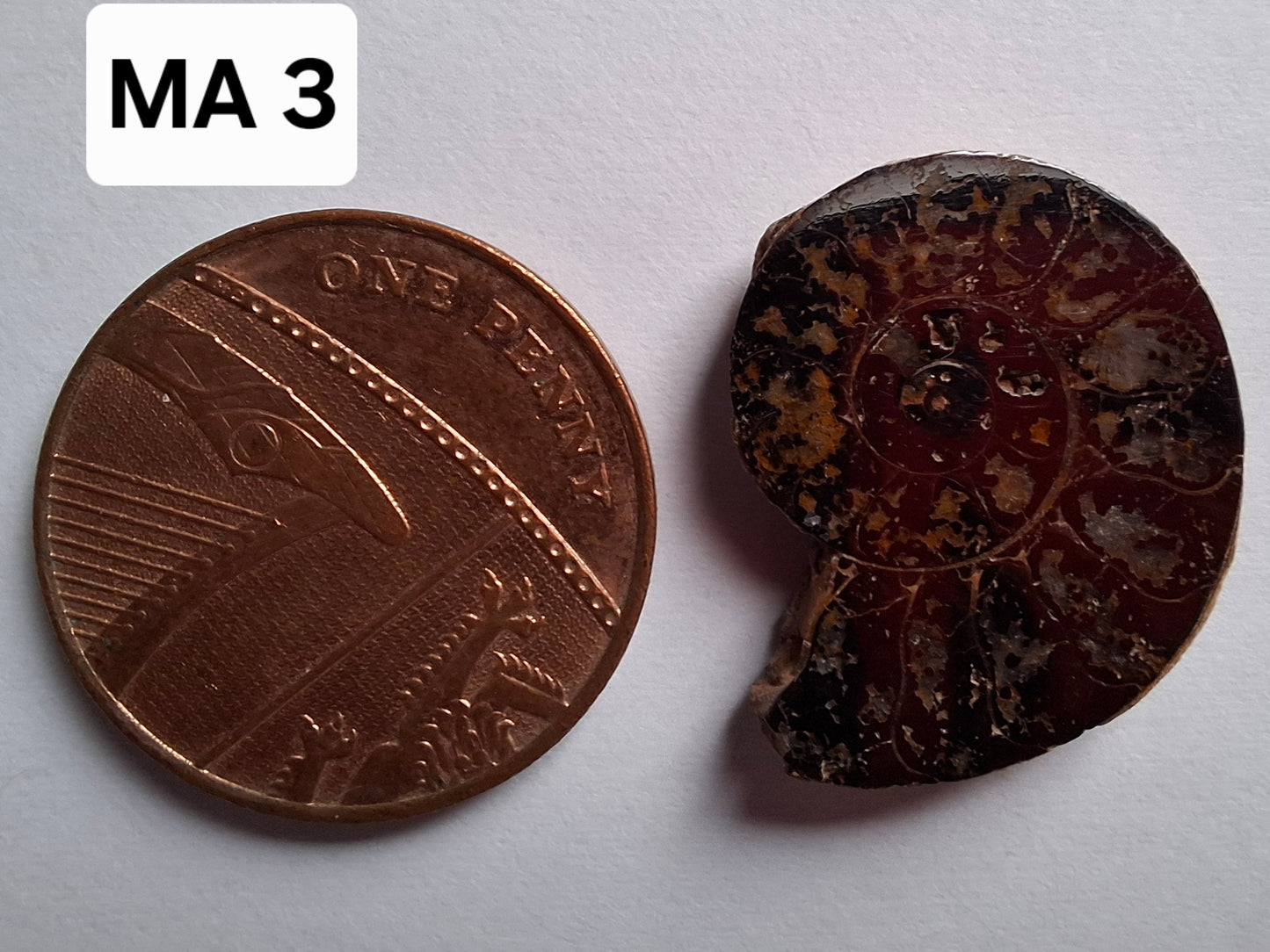 Small Haematite Ammonite HALF, 2.19g, Fossil (Ref: MA3)