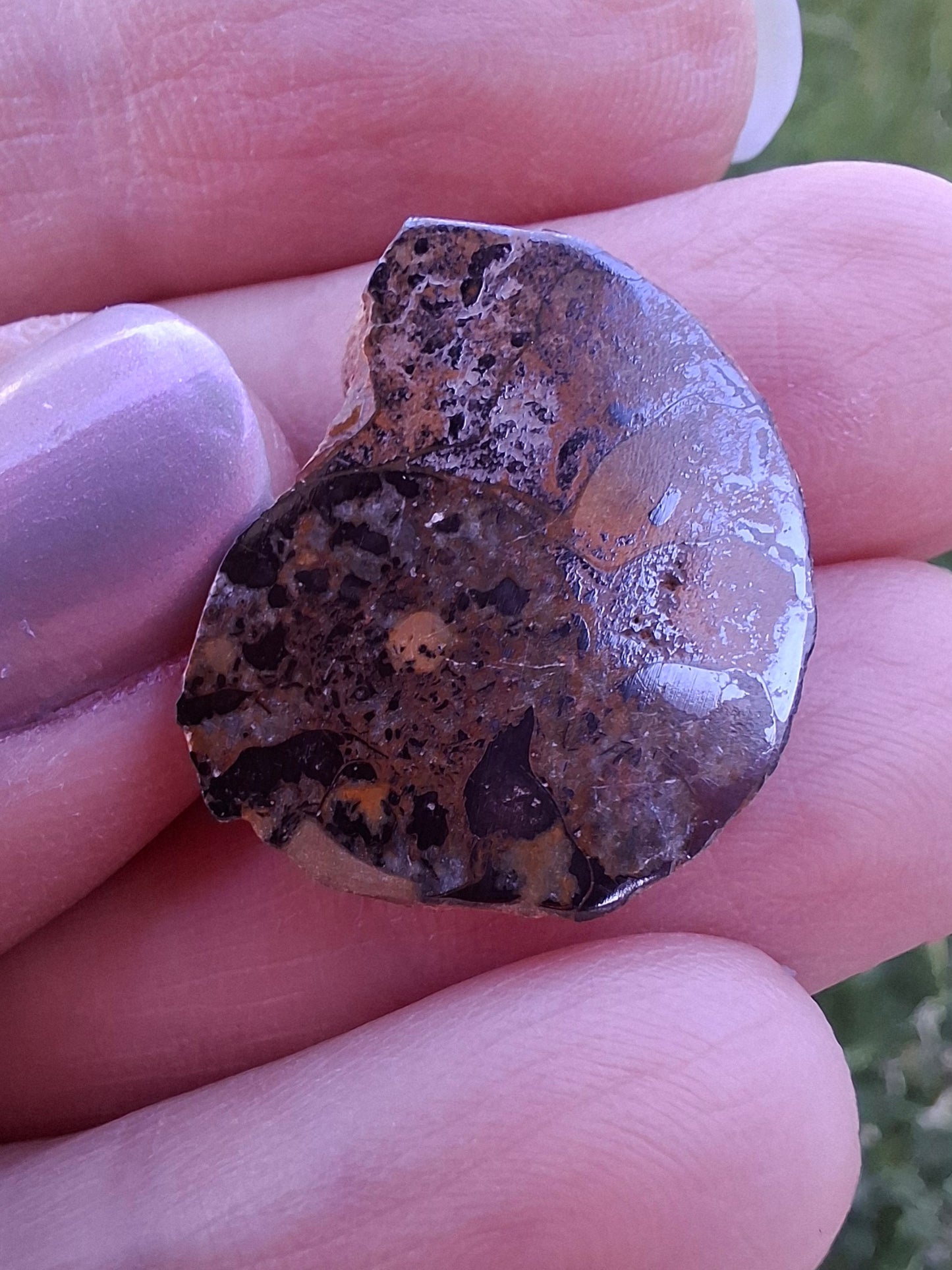 Small Haematite Ammonite HALF, 2.59g, Fossil (Ref: MA7)