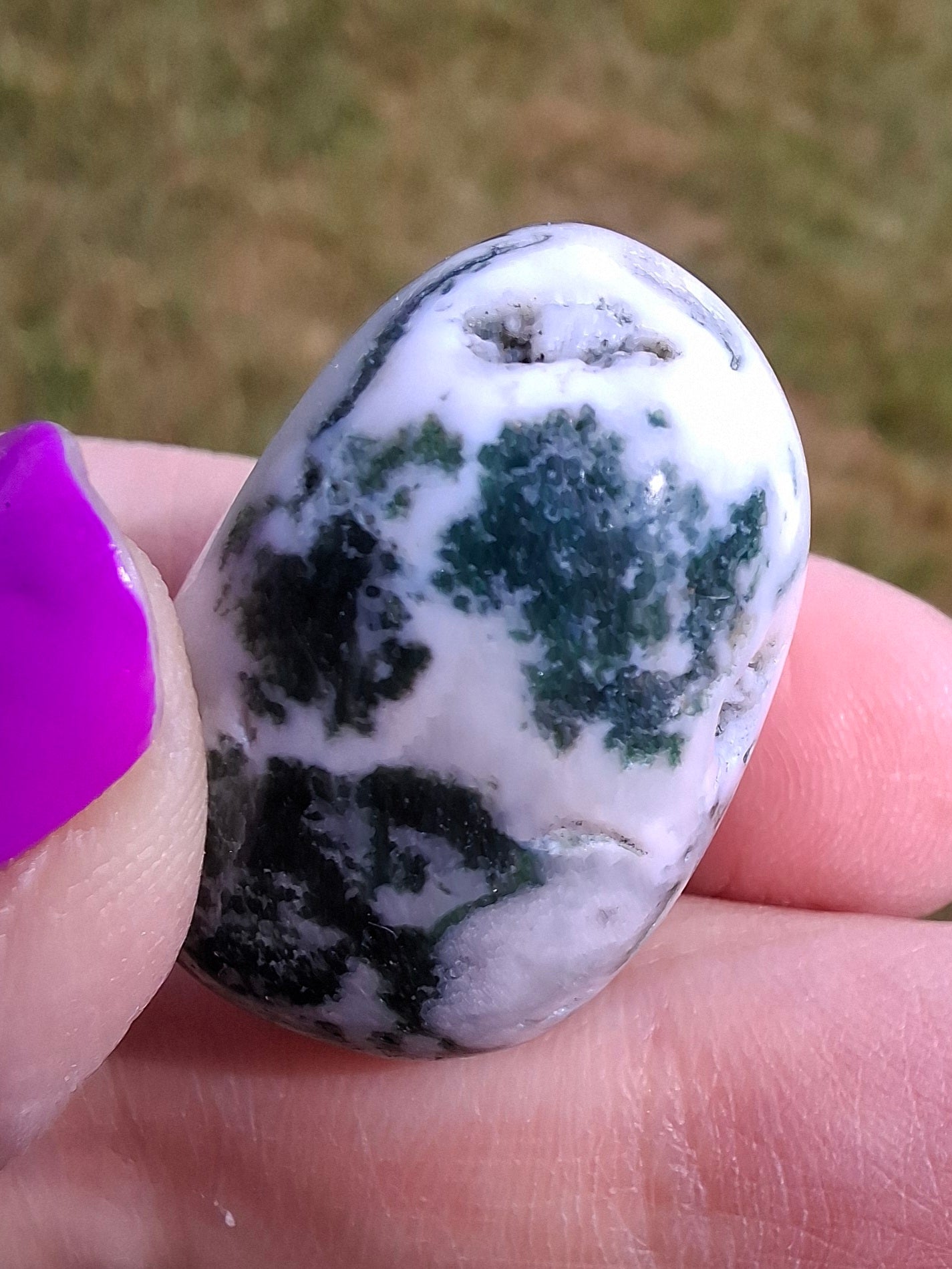 Tree Agate, Tumble Stone, Crystal (Ref: T5)