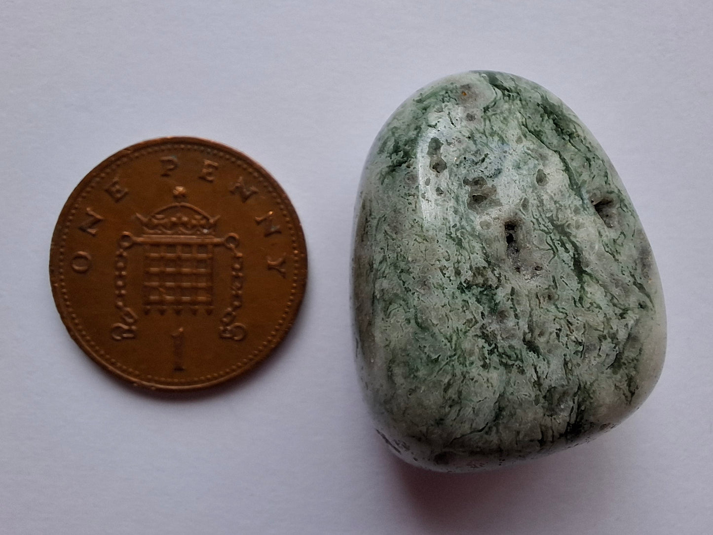 Tree Agate, Tumble Stone, Crystal (Ref: T7)