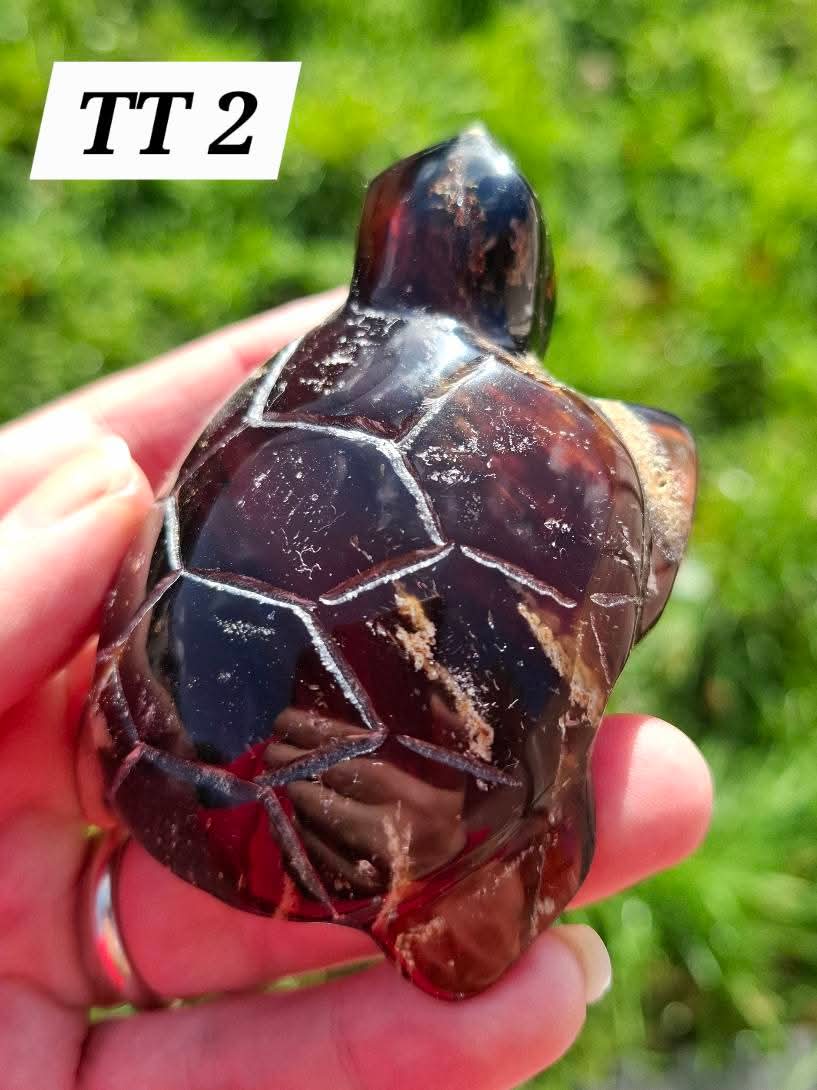 Red Amber Turtle, 56.87g, Carving, Fossil (Ref: TT2)