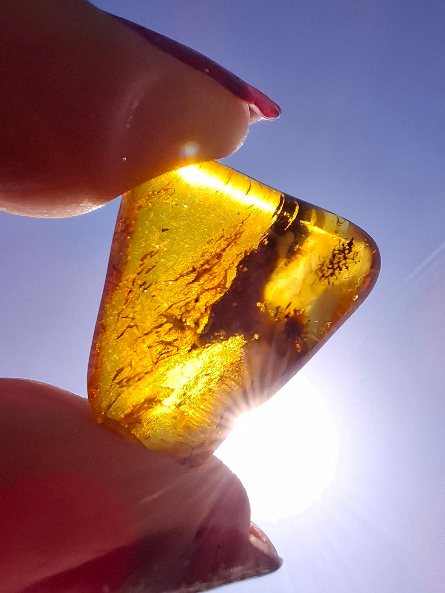Baltic Amber, 1.61g, Fossil (Ref: A186)