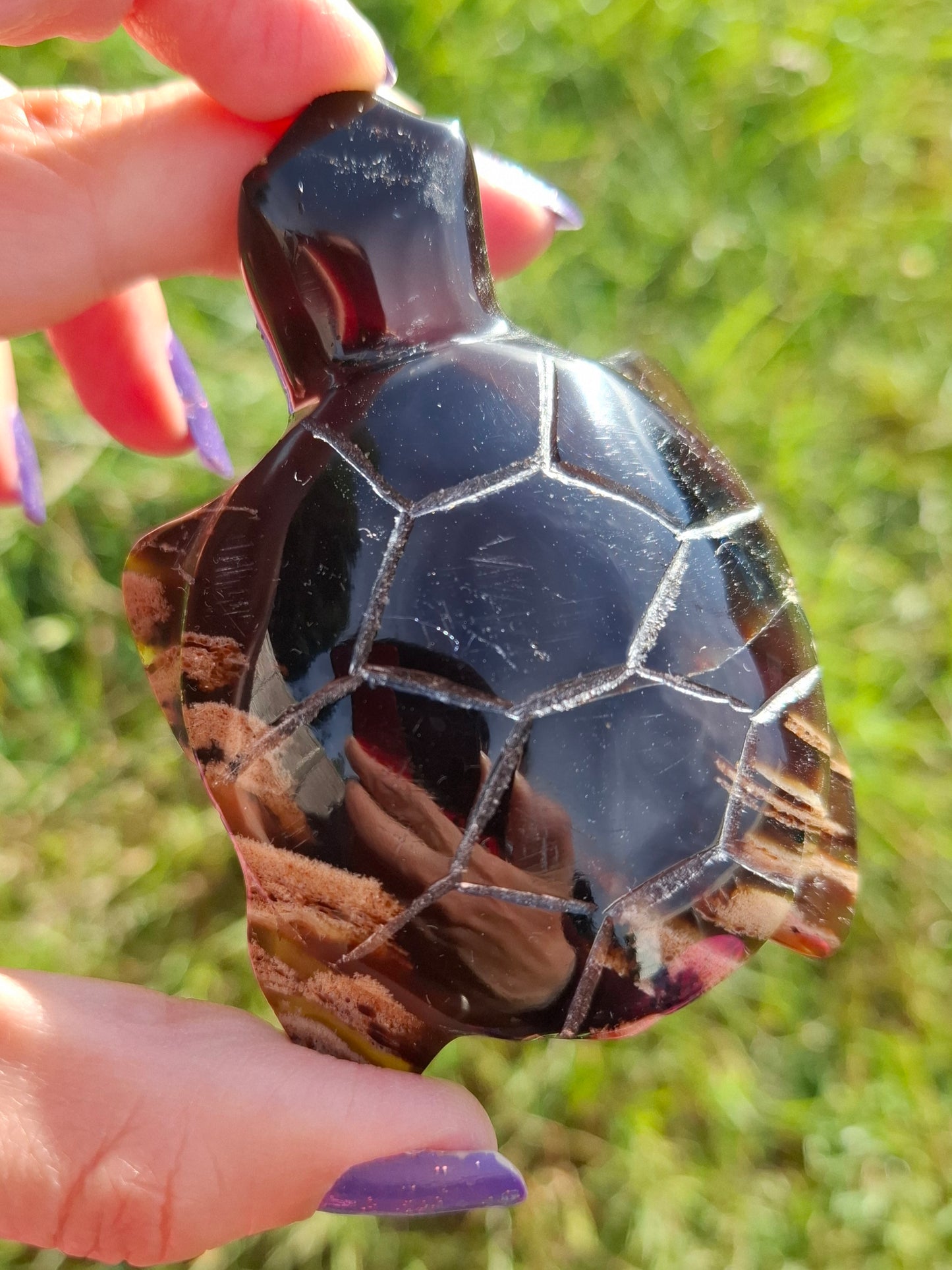 Red Amber Turtle, 59.07g, Carving, Fossil (Ref: TT5)