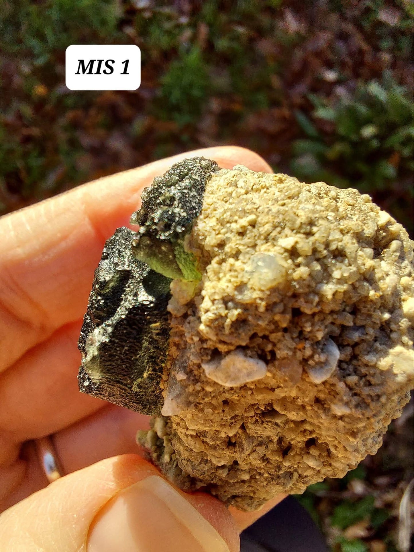 Moldavite In-Situ (in matrix), Besednice, Est-13g, Tektite (Ref: MIS1)