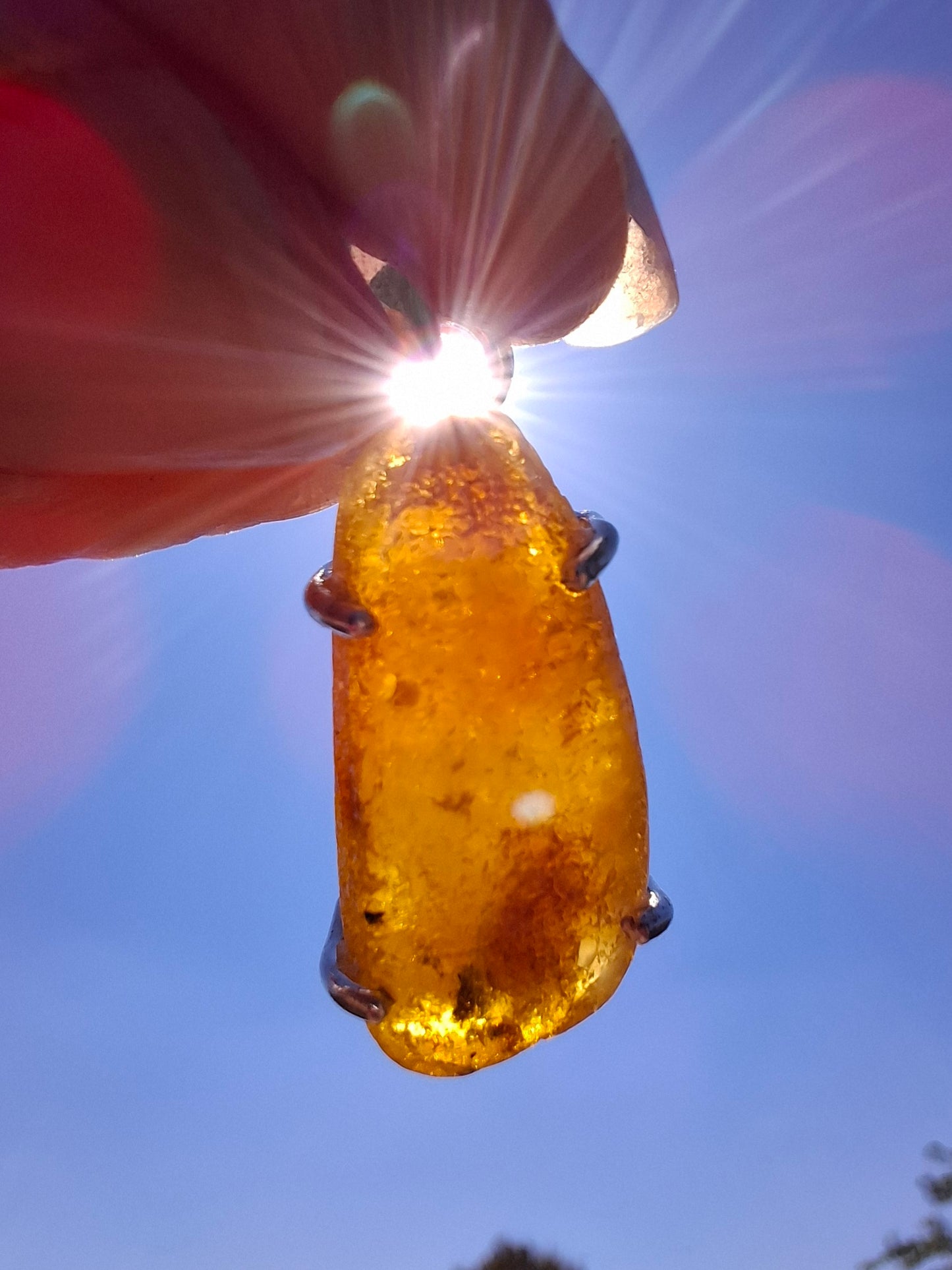 Baltic Amber Pendant, 925 Silver, Fossil (Ref: AP8)