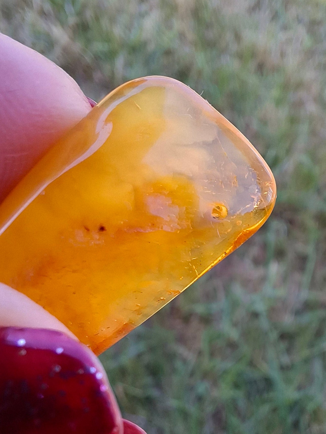 Baltic Amber, 1.55g, Fossil (Ref: A219)