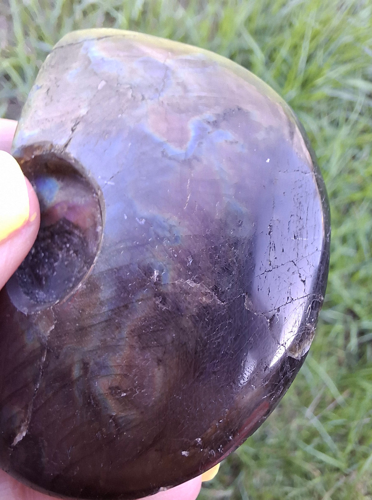 Labradorite Ammonite Carving, 89.31g, Crystal (Ref: laba6)