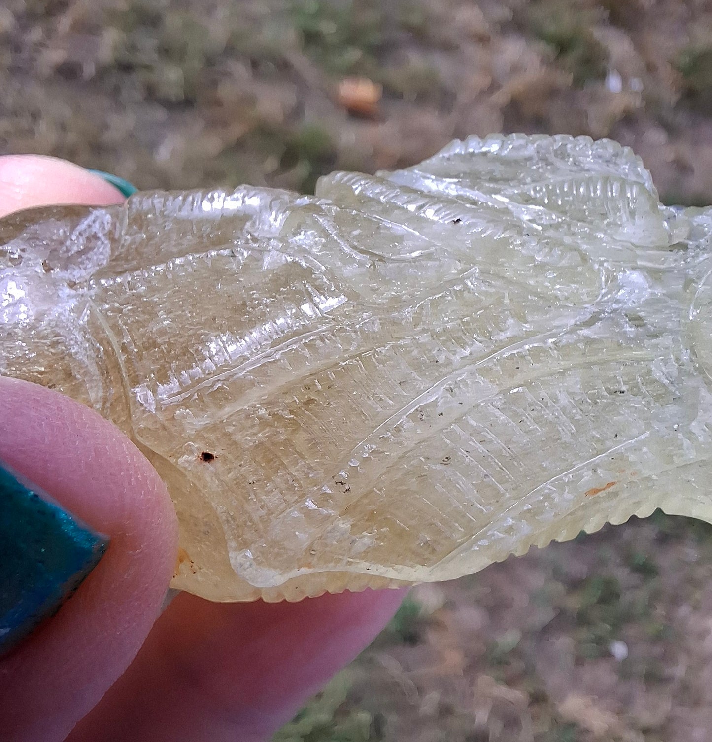 Libyan Desert Glass DRAGON HEAD carving, 48.11g, Tektite (Ref: Dragon4)