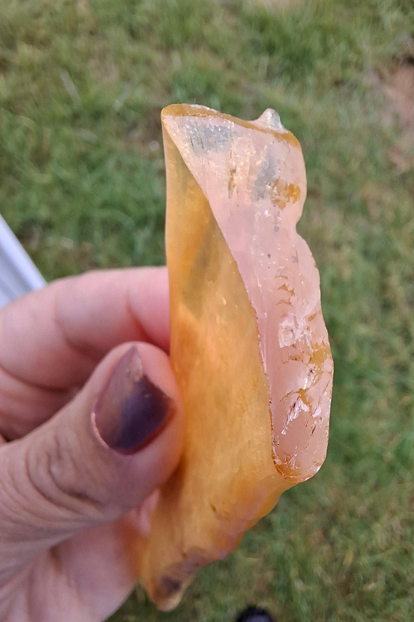 Copal Young Amber with INSECTS inside, 18.29g, Fossil (Ref: CA33)
