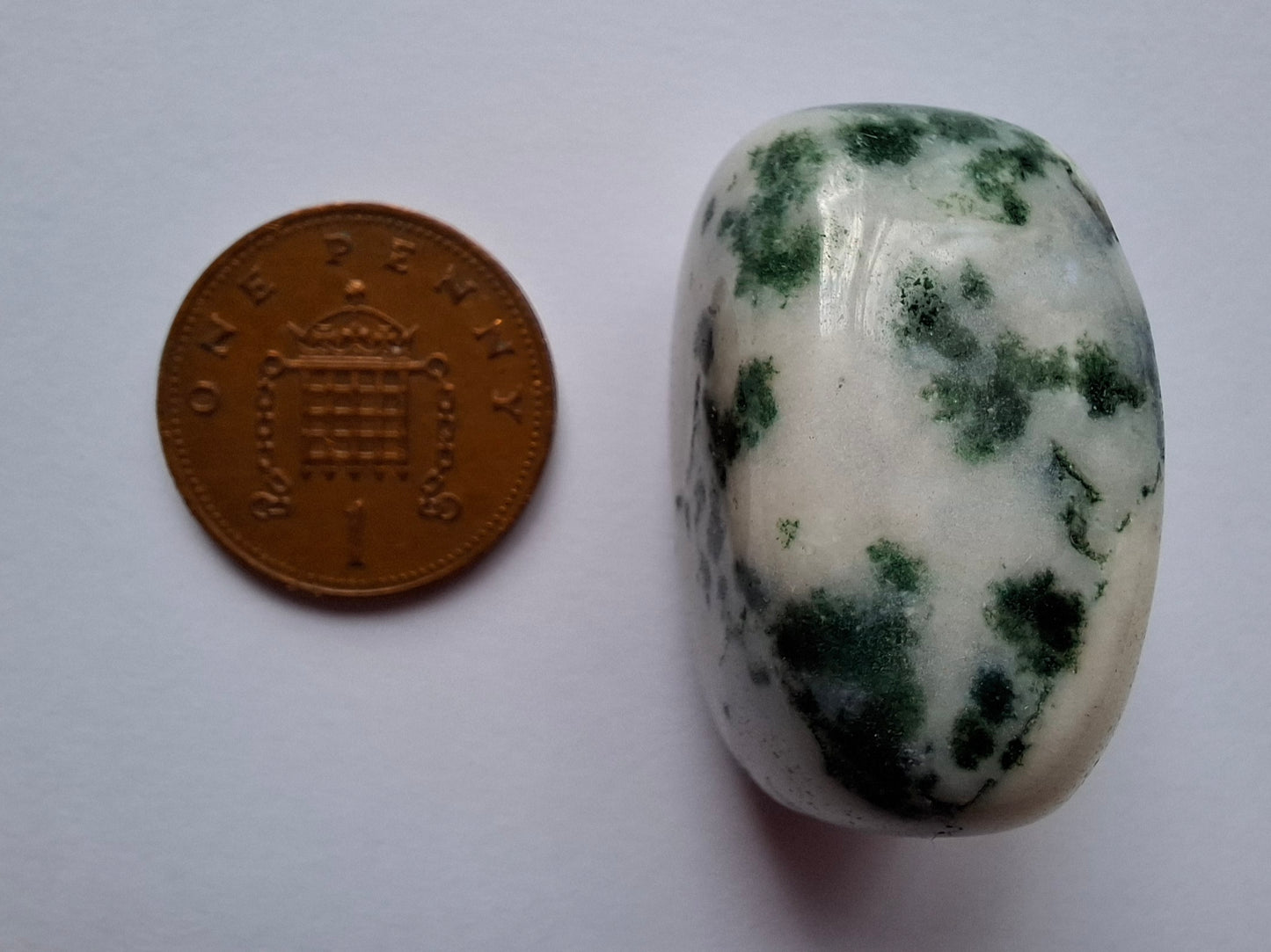 Tree Agate, Tumble Stone, Crystal (Ref: T1)