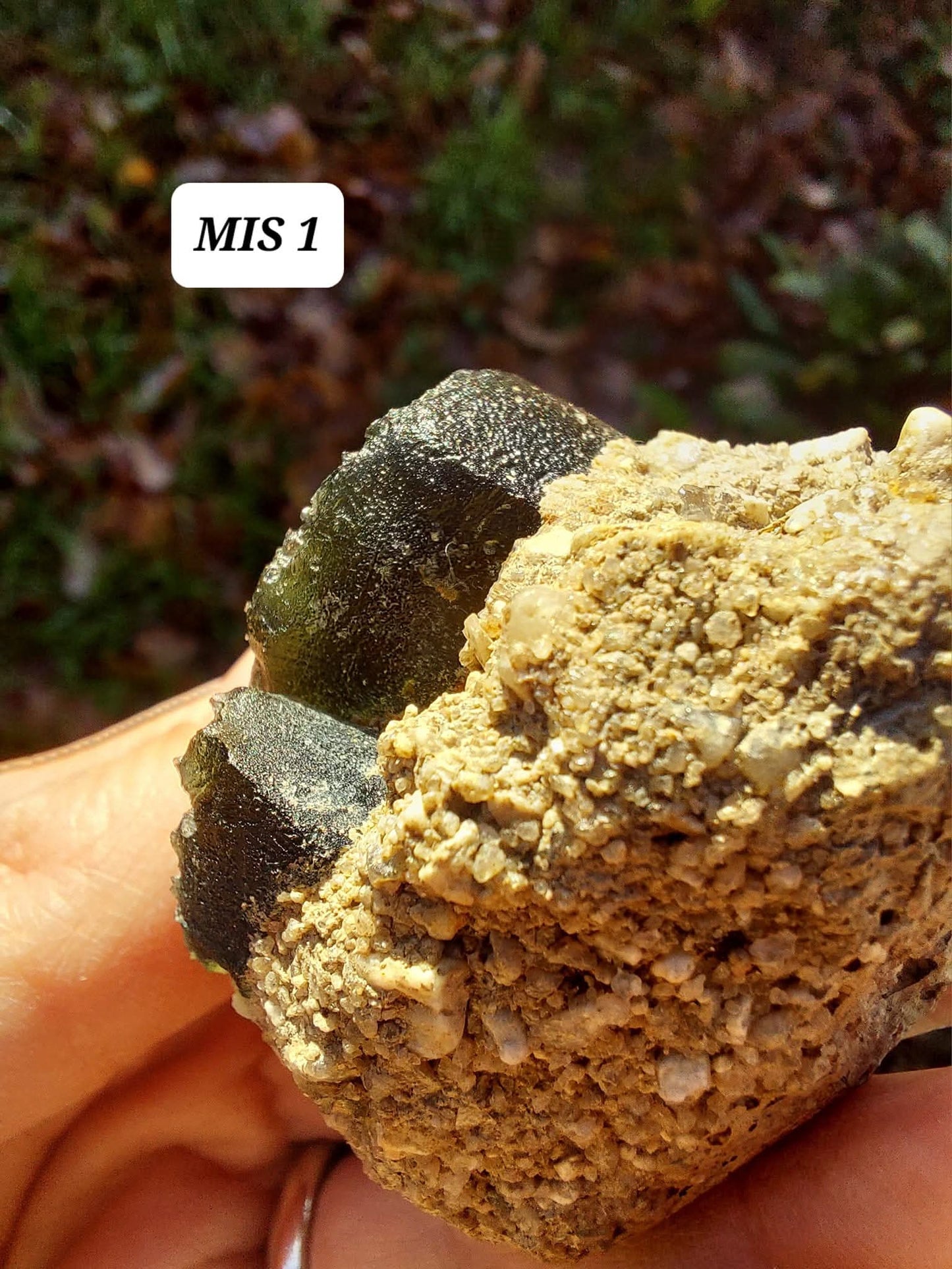 Moldavite In-Situ (in matrix), Besednice, Est-13g, Tektite (Ref: MIS1)