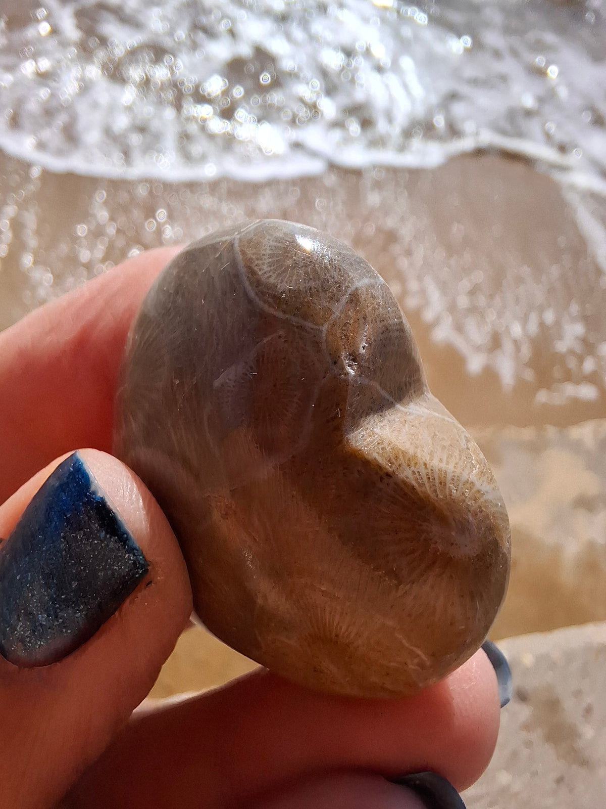 Fossil Coral Heart, (Ref:CoH1)
