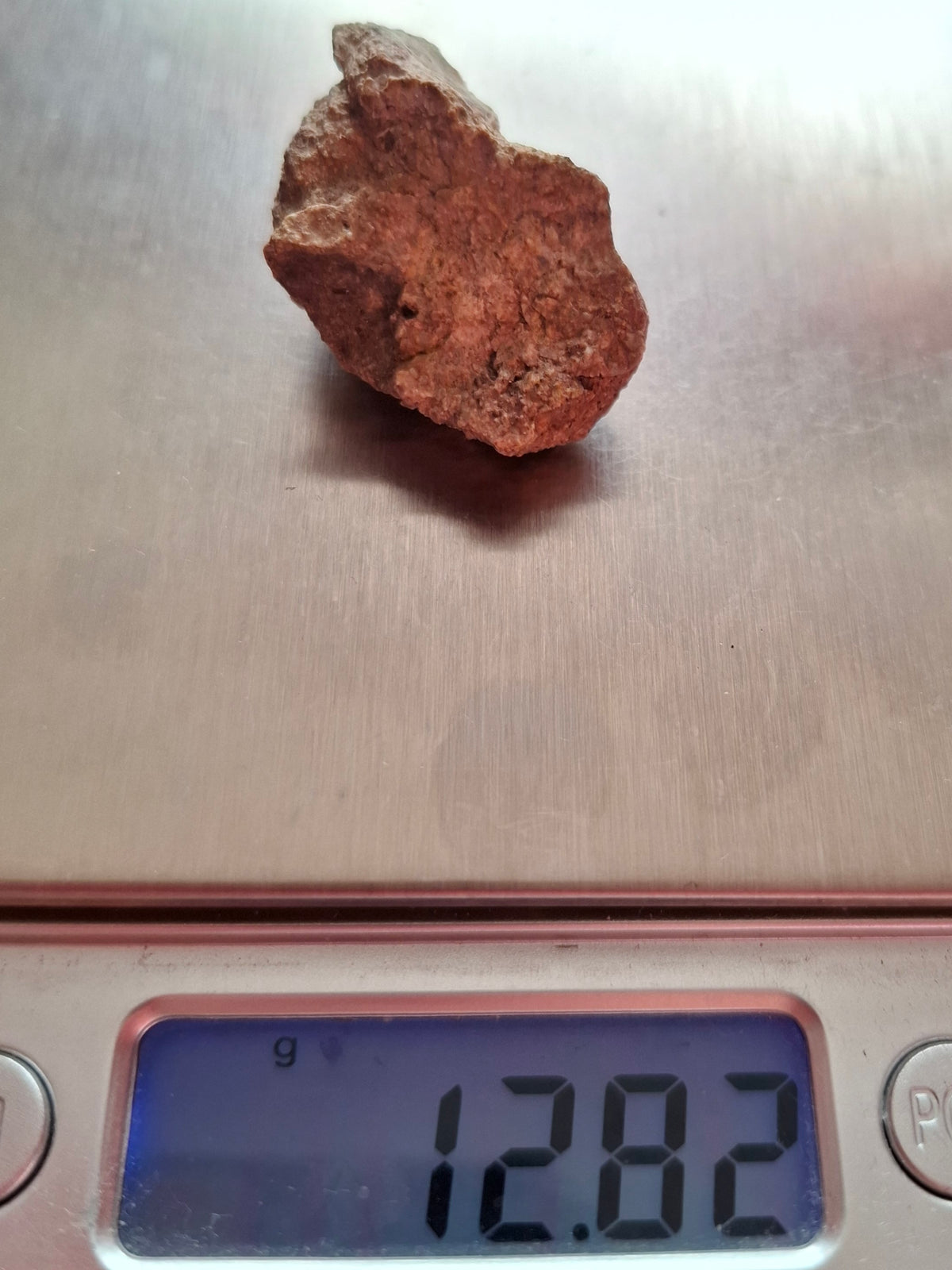 Sauropod Dinosaur Coprolite, 12.82g, Fossil (Ref: DP1)