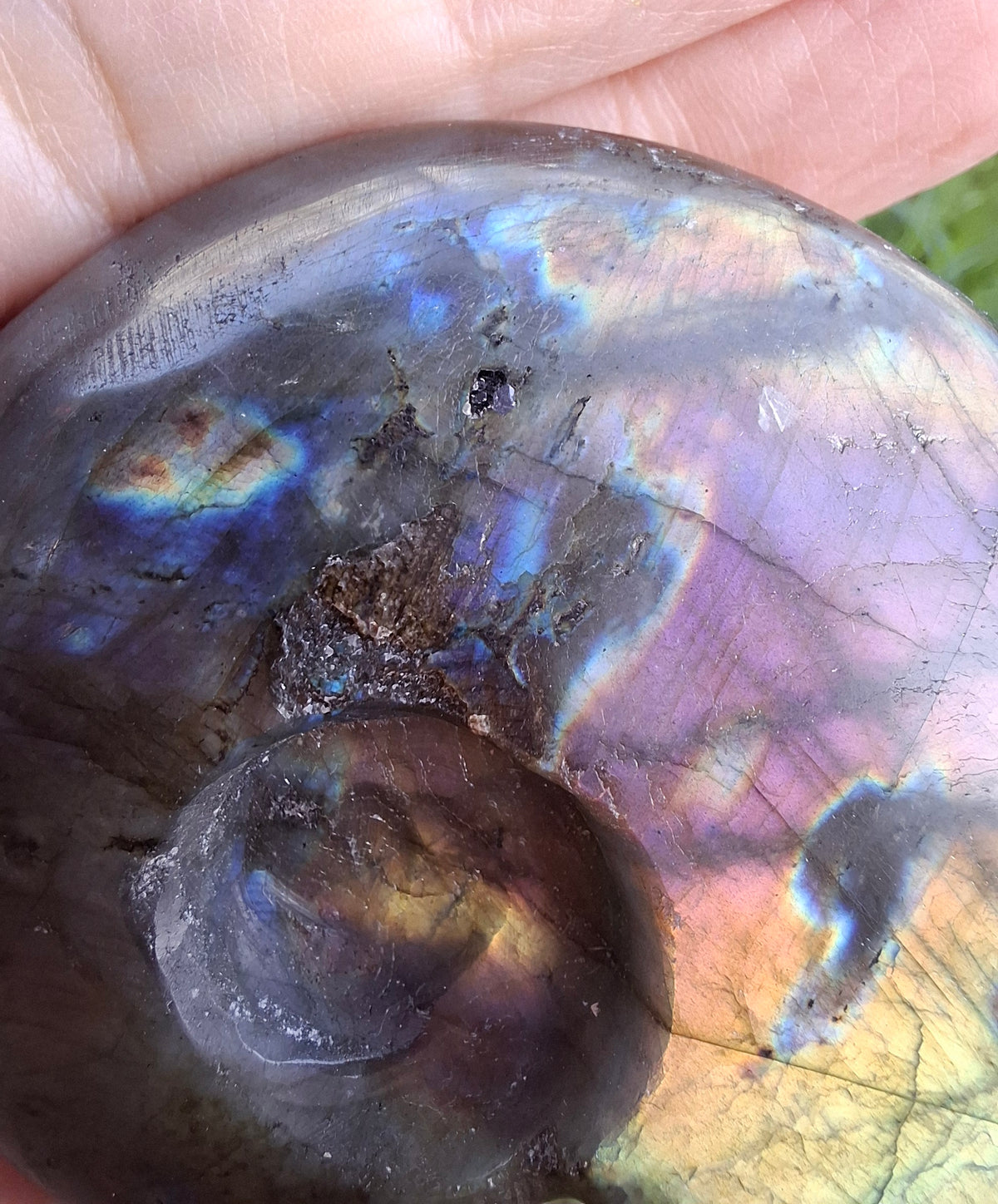 Labradorite Ammonite Carving, 146.90g, Crystal (Ref: laba5)