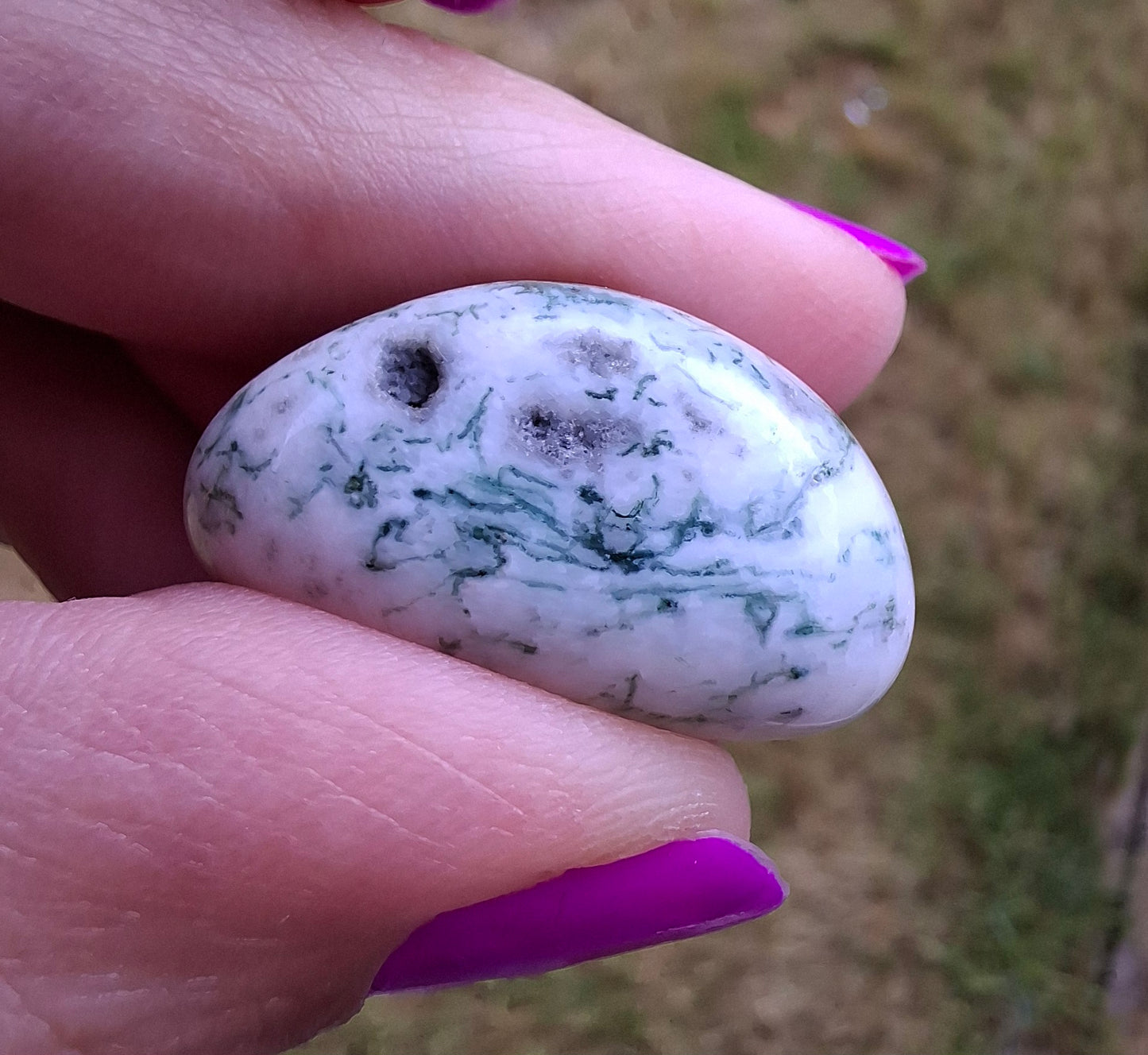 Tree Agate, Tumble Stone, Crystal (Ref: T3)