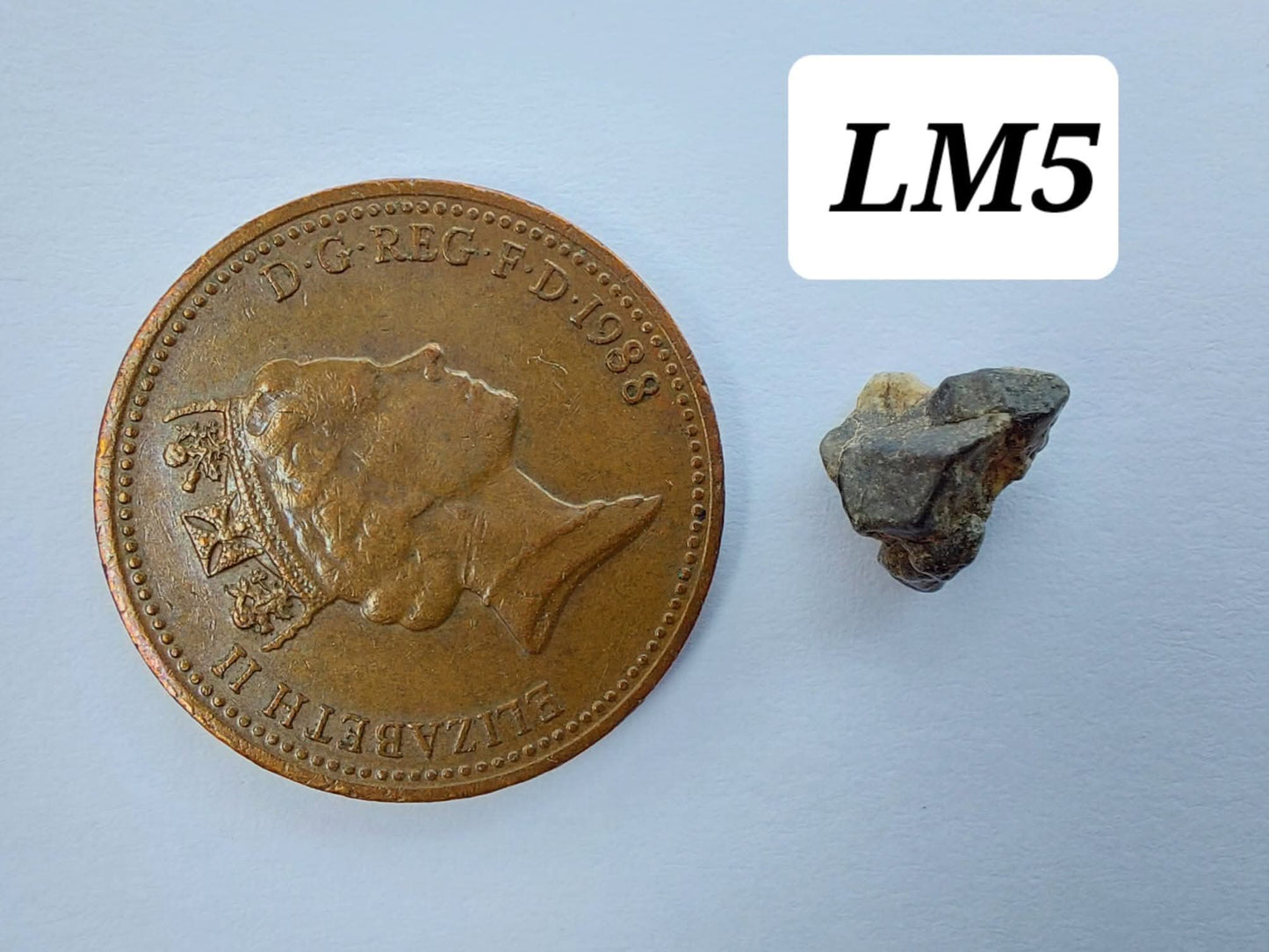Lunar Meteorite, 0.32g, 'Moon Rock' (Ref: LM5)