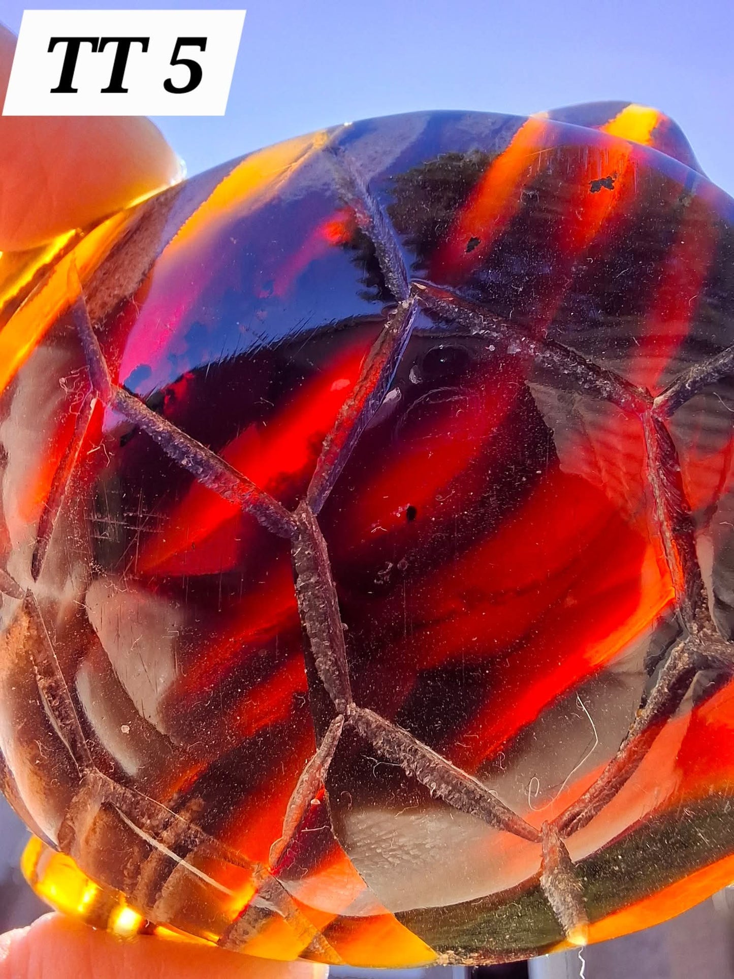Red Amber Turtle, 59.07g, Carving, Fossil (Ref: TT5)