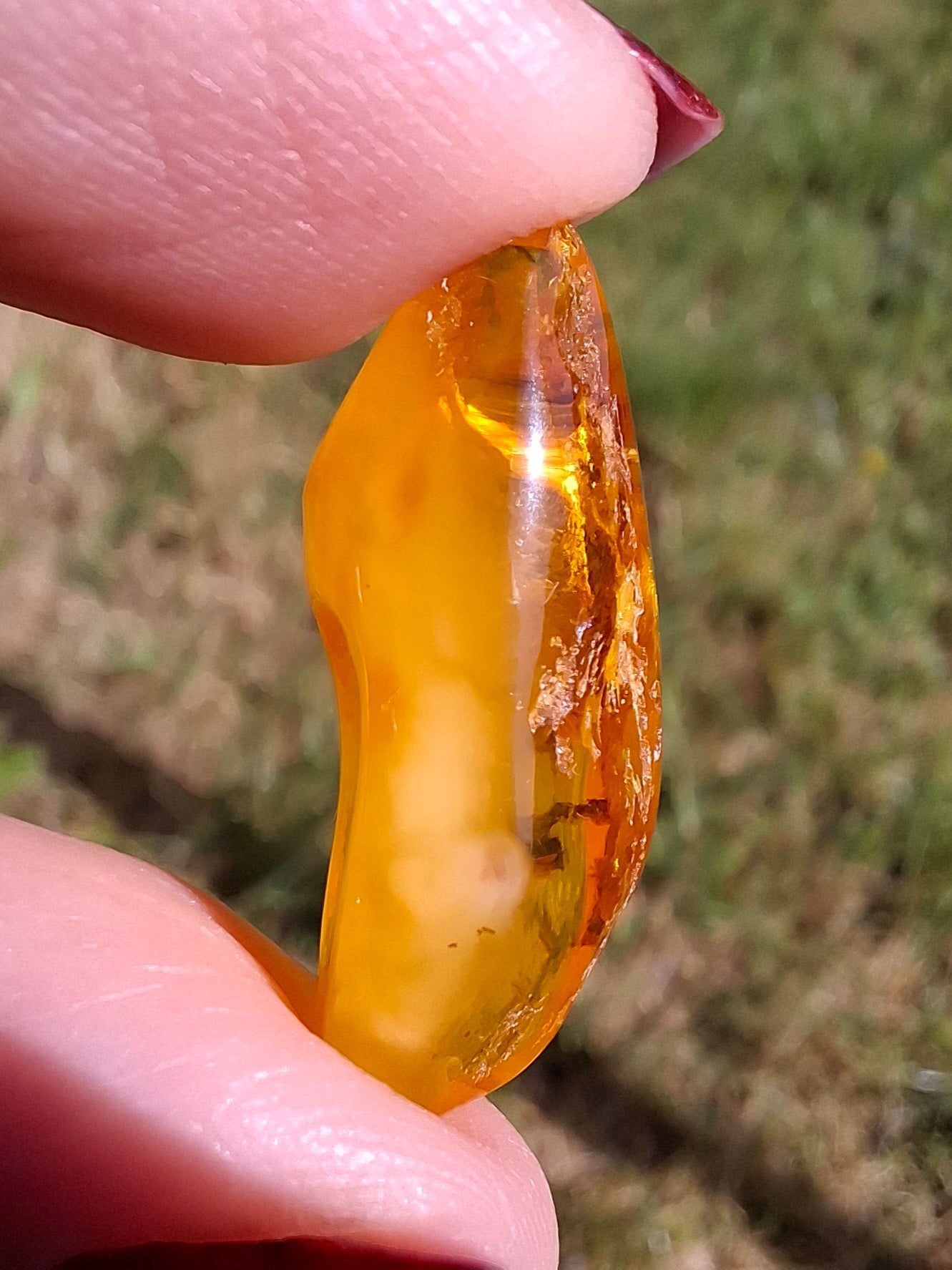 Baltic Amber, 1.68g, Fossil (Ref: A233)