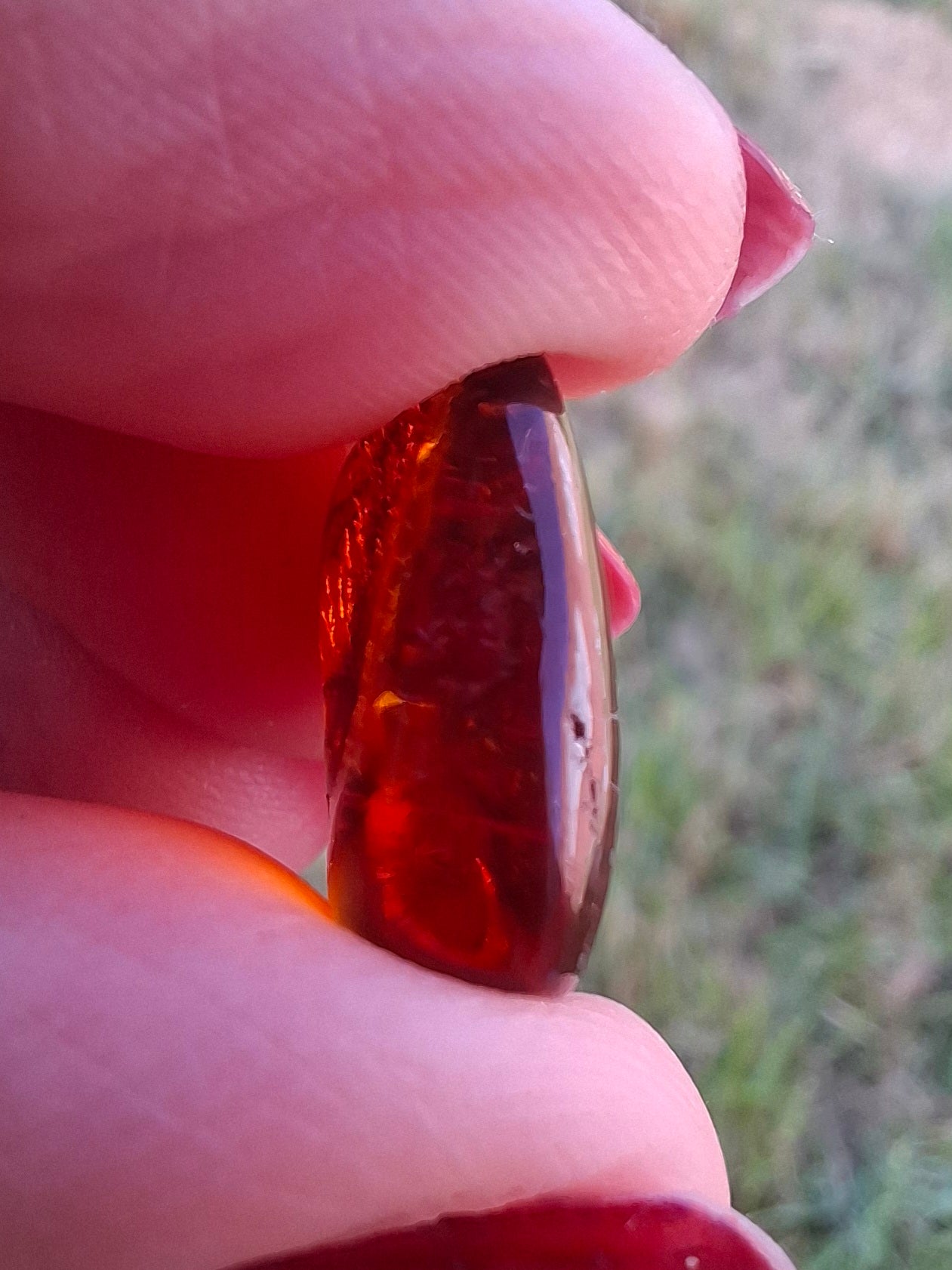 Baltic Amber, 0.94g, Fossil (Ref: A256)