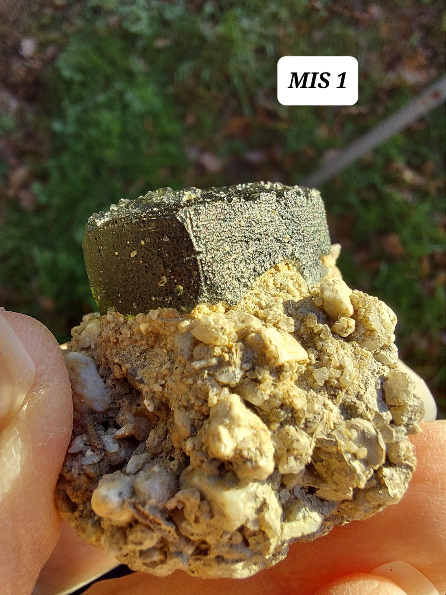 Moldavite In-Situ (in matrix), Besednice, Est-13g, Tektite (Ref: MIS1)