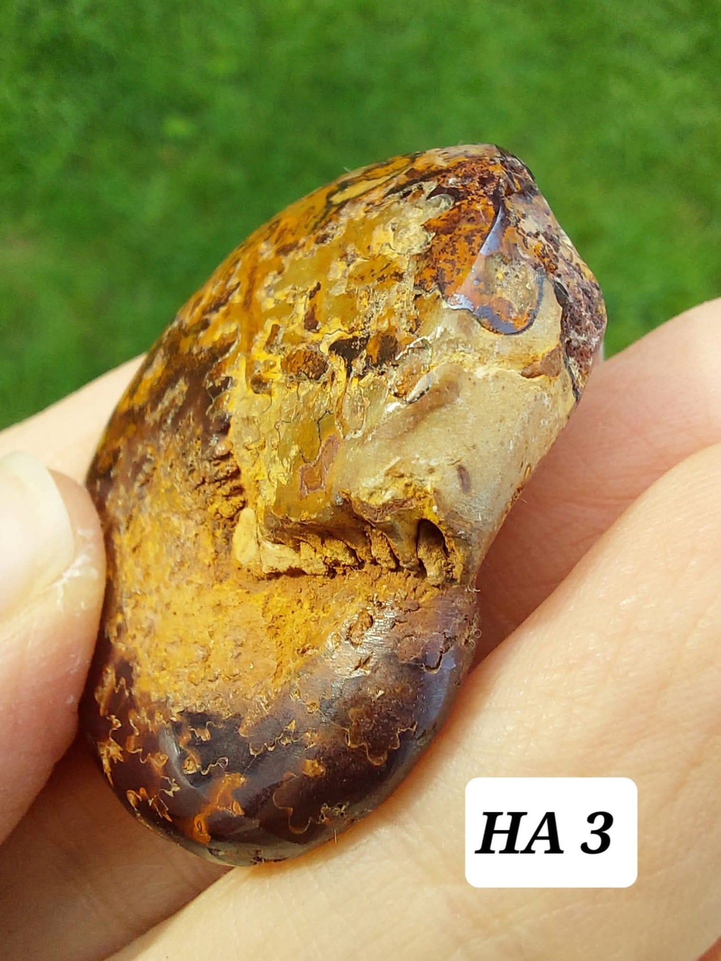 Hematite Ammonite, 16.00g, Fossil (Ref: HA3)