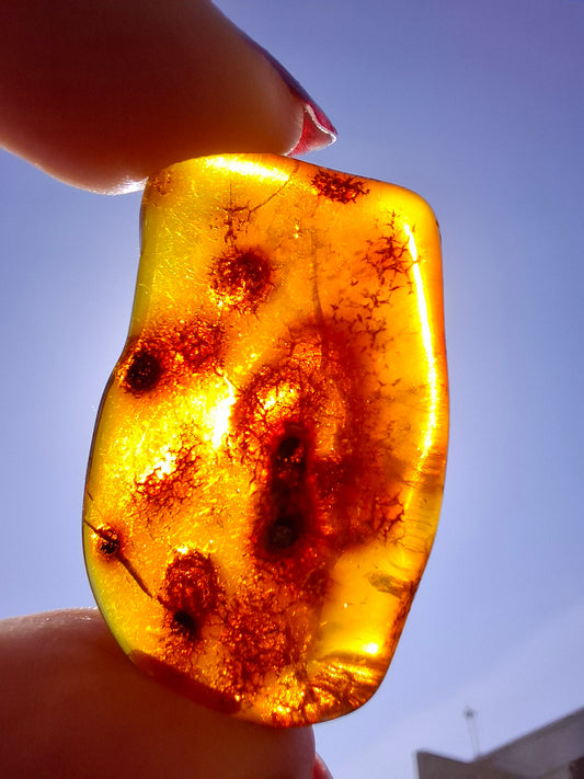 Baltic Amber, 4.50g, Fossil (Ref: A151)