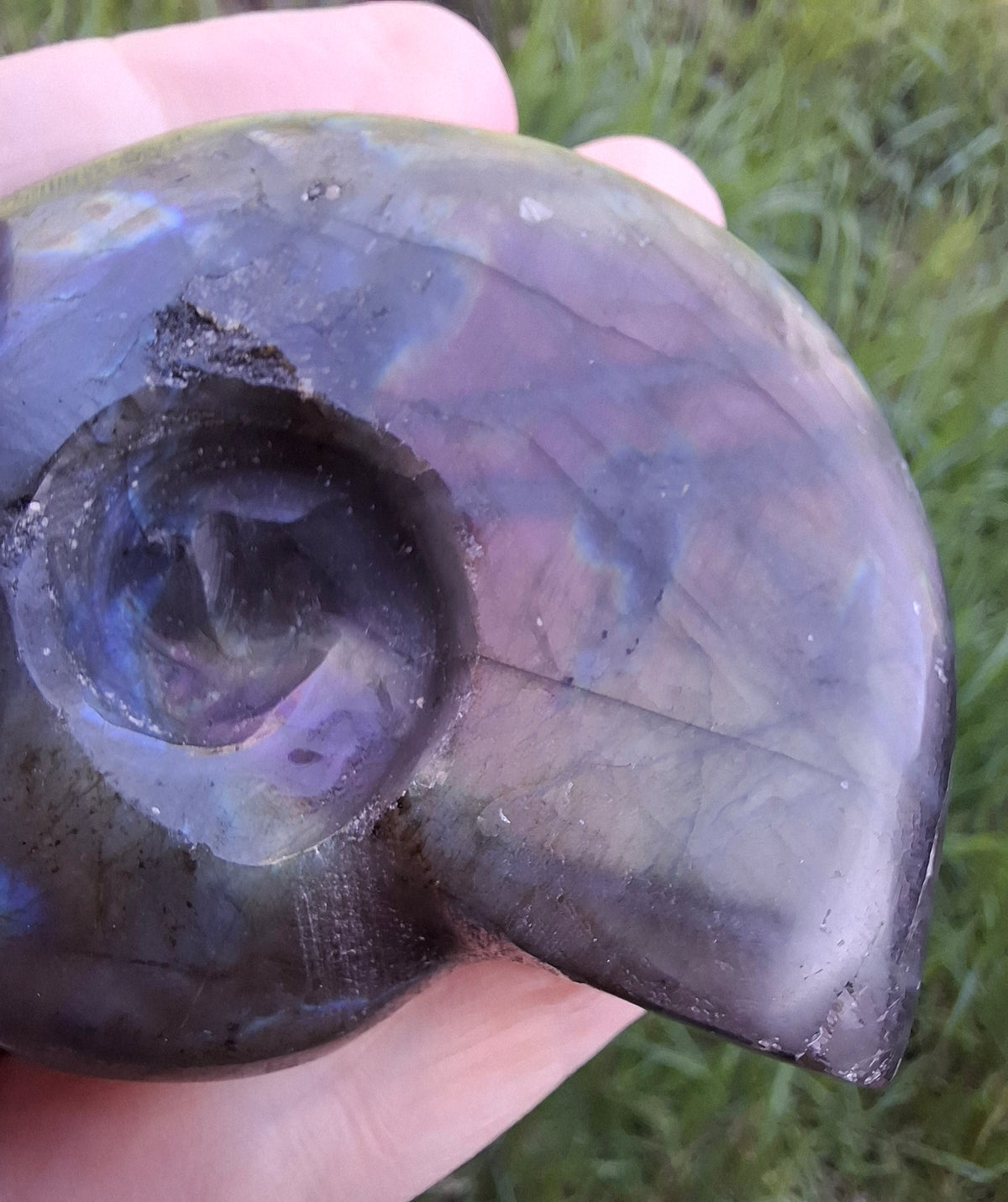 Labradorite Ammonite Carving, 146.90g, Crystal (Ref: laba5)