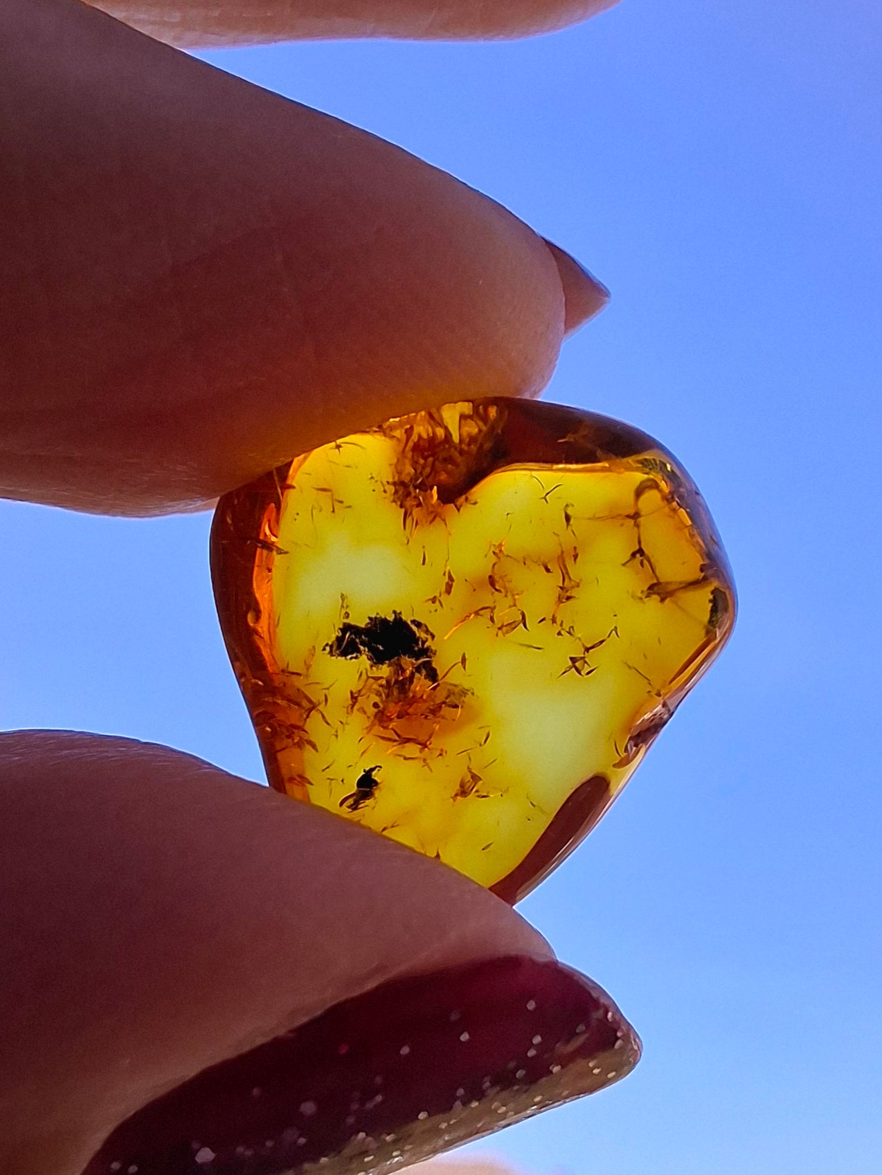 Baltic Amber, 0.97g, Fossil (Ref: A249)