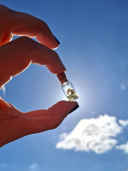 Moldavite Chips (0.50g) in 1ml Bottle, Tektite (Ref: B29)