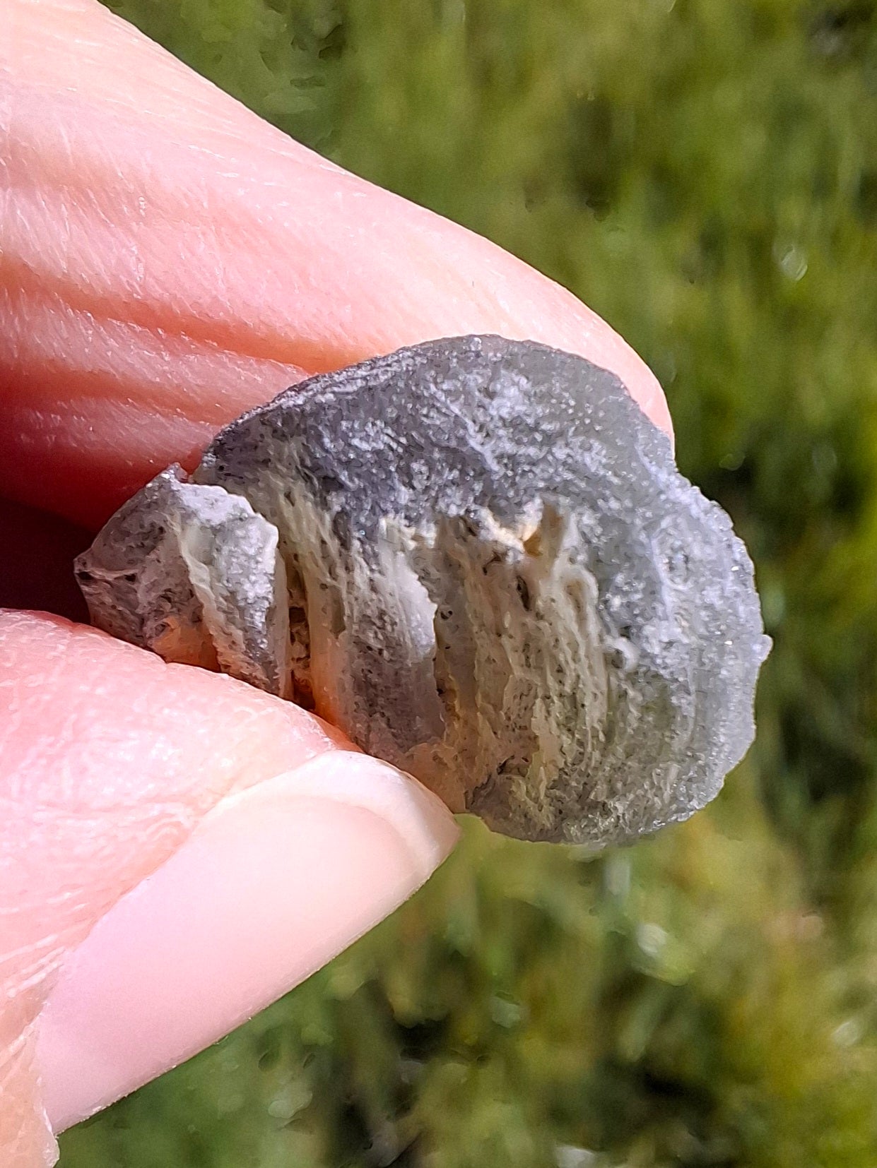 Moldavite Piece, SNOWFLAKE, FROSTED, BARTOCHOV, 3.00g, Tektite (Ref: 1370)