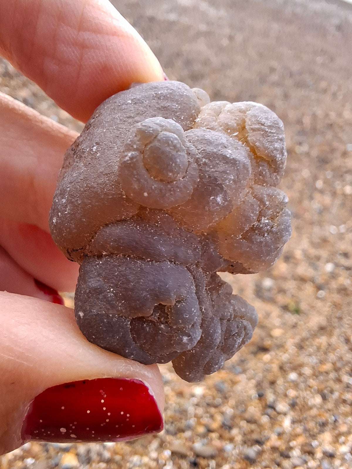 Nebula Chalcedony, 18.80g, Fossil (Ref: NC9)