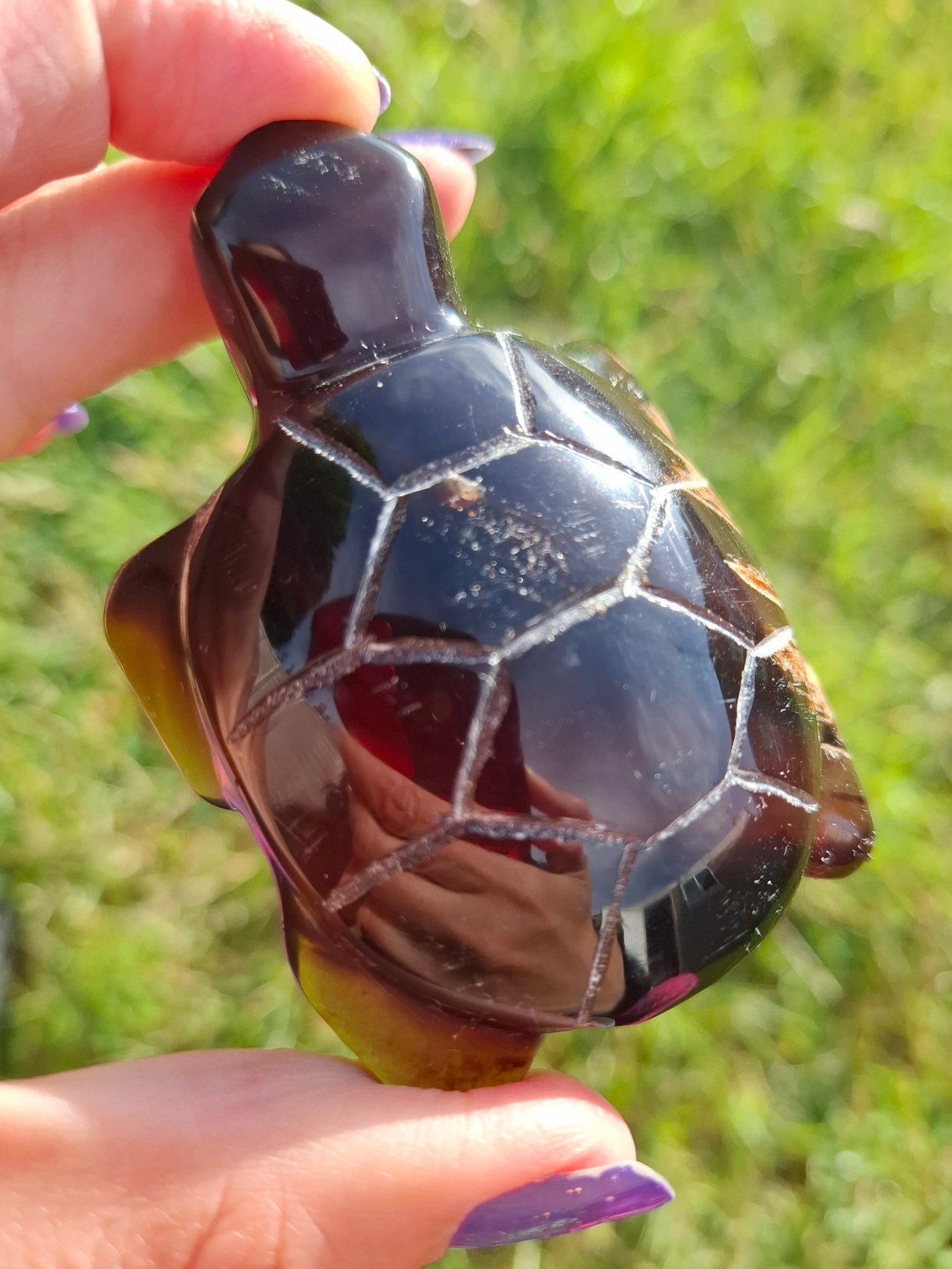 Red Amber Turtle, 47.85g, Carving, Fossil (Ref: TT4)