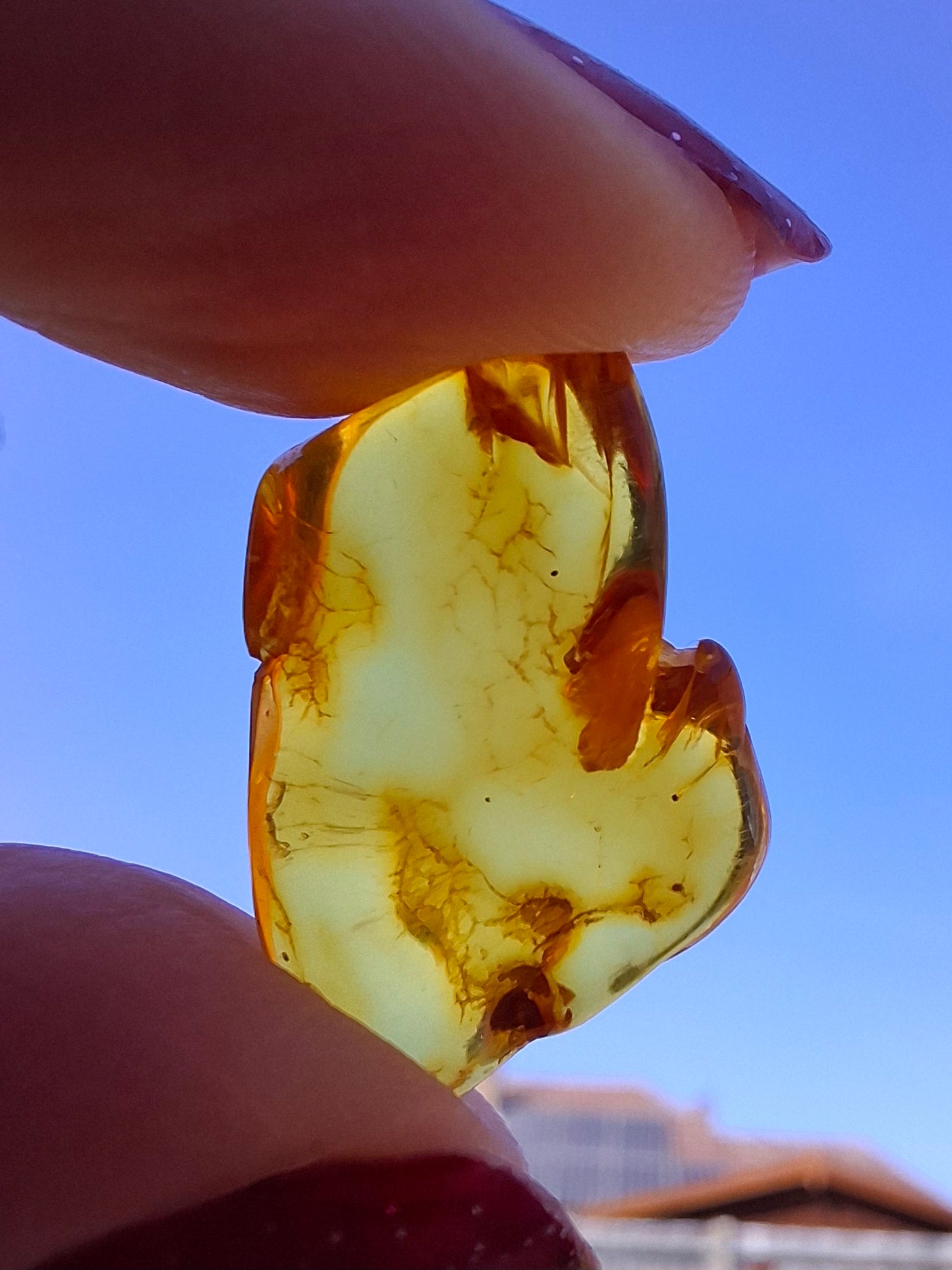 Baltic Amber, 1.31g, Fossil (Ref: A234)