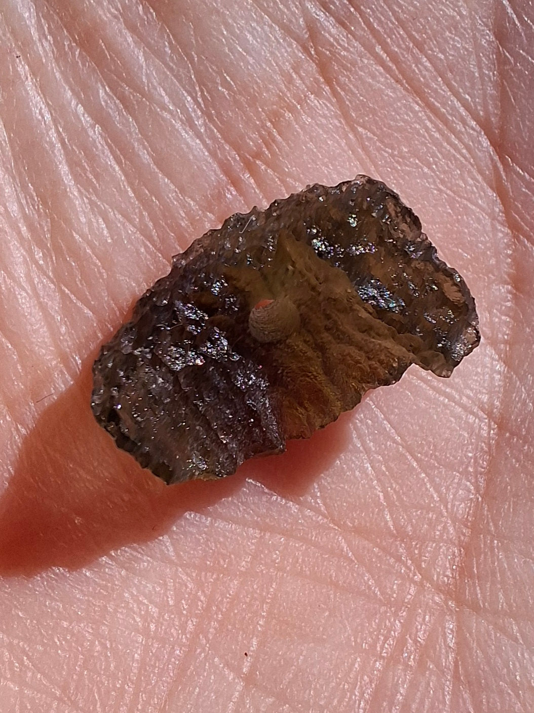 DRILLED, Moldavite Piece, 0.77g, Tektite (Ref: D29)