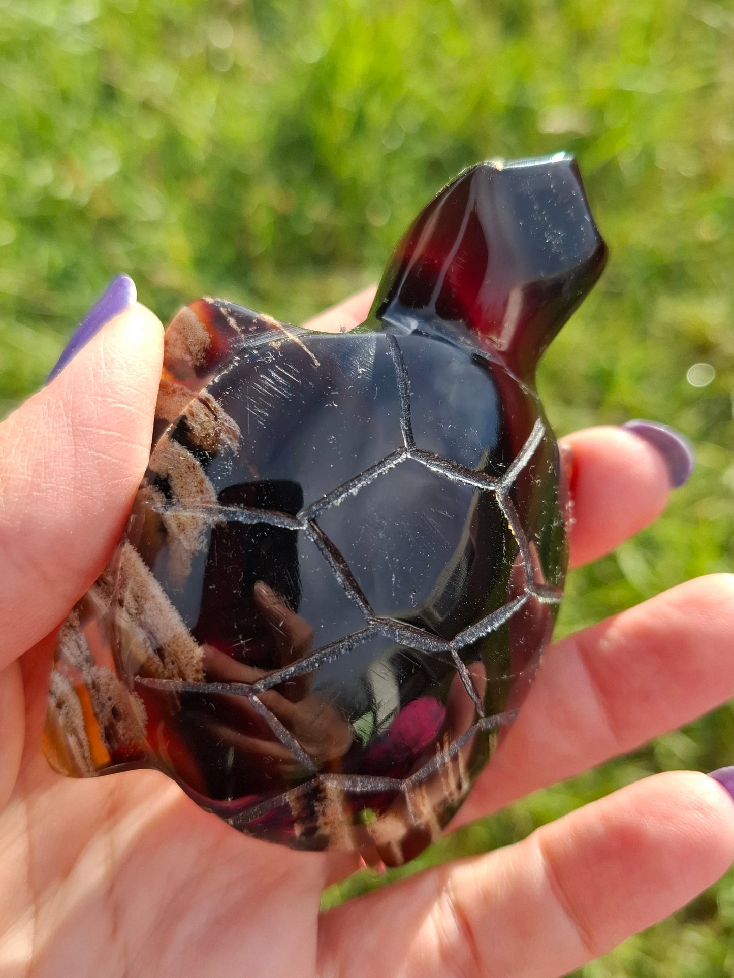 Red Amber Turtle, 59.07g, Carving, Fossil (Ref: TT5)