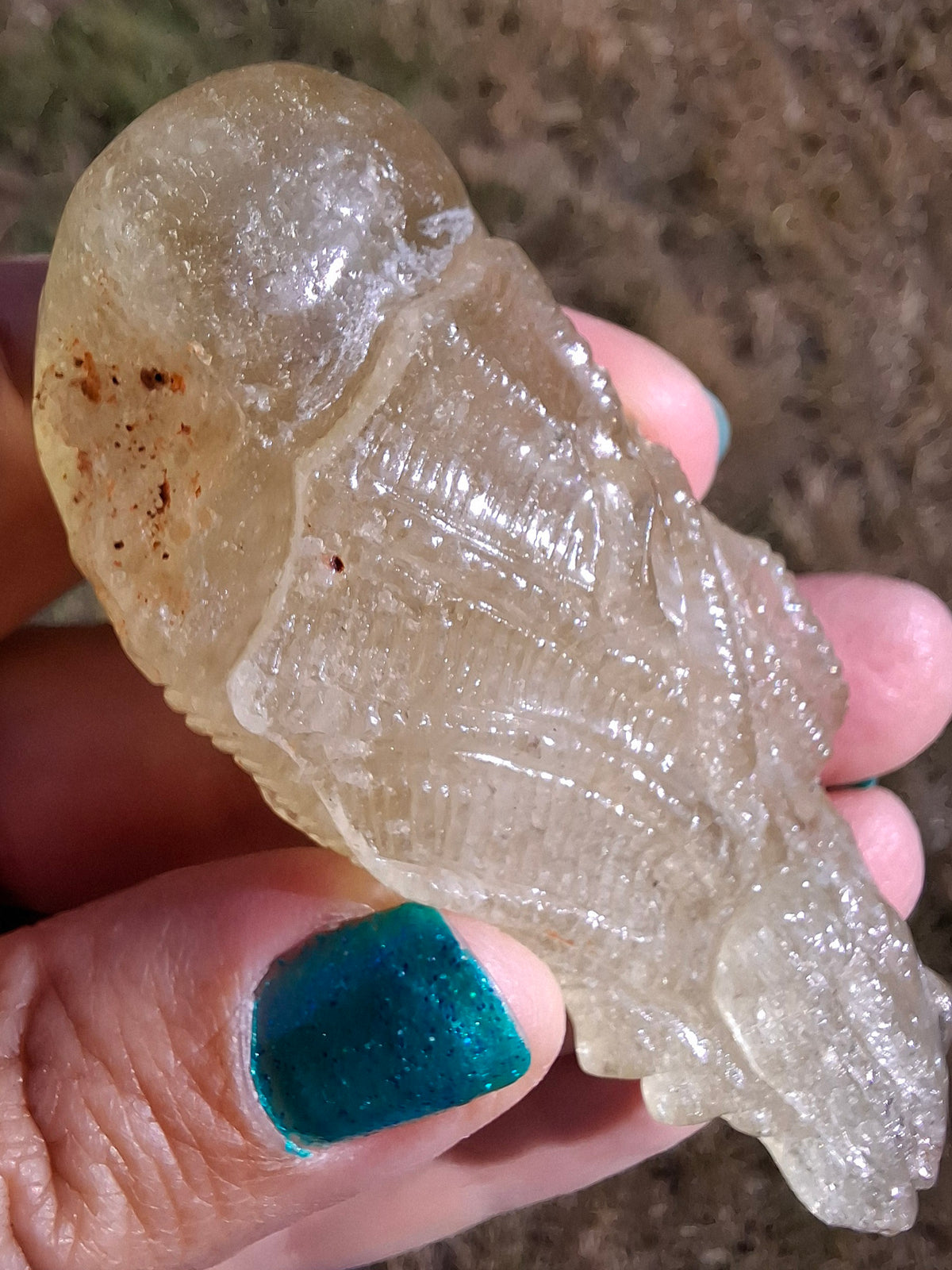 Libyan Desert Glass DRAGON HEAD carving, 48.11g, Tektite (Ref: Dragon4)