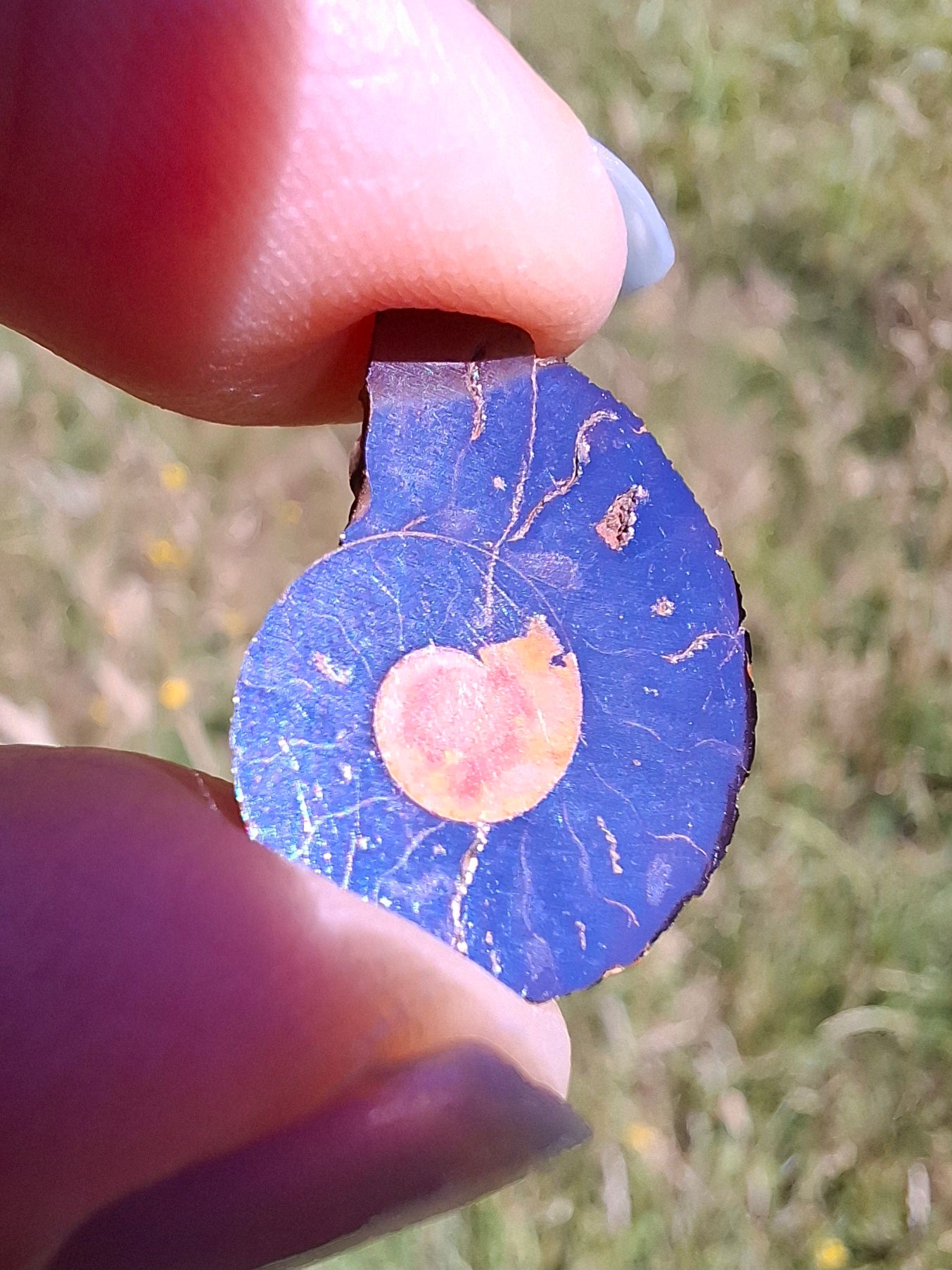 Small Haematite Ammonite HALF, 1.19g, Fossil (Ref: MA11)
