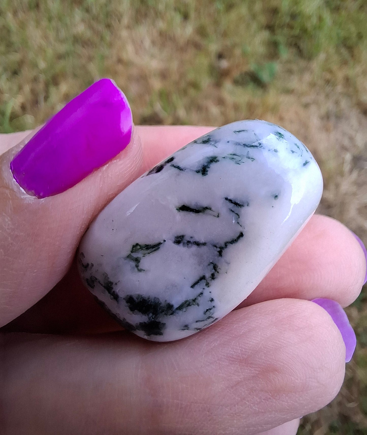 Tree Agate, Tumble Stone, Crystal (Ref: T1)