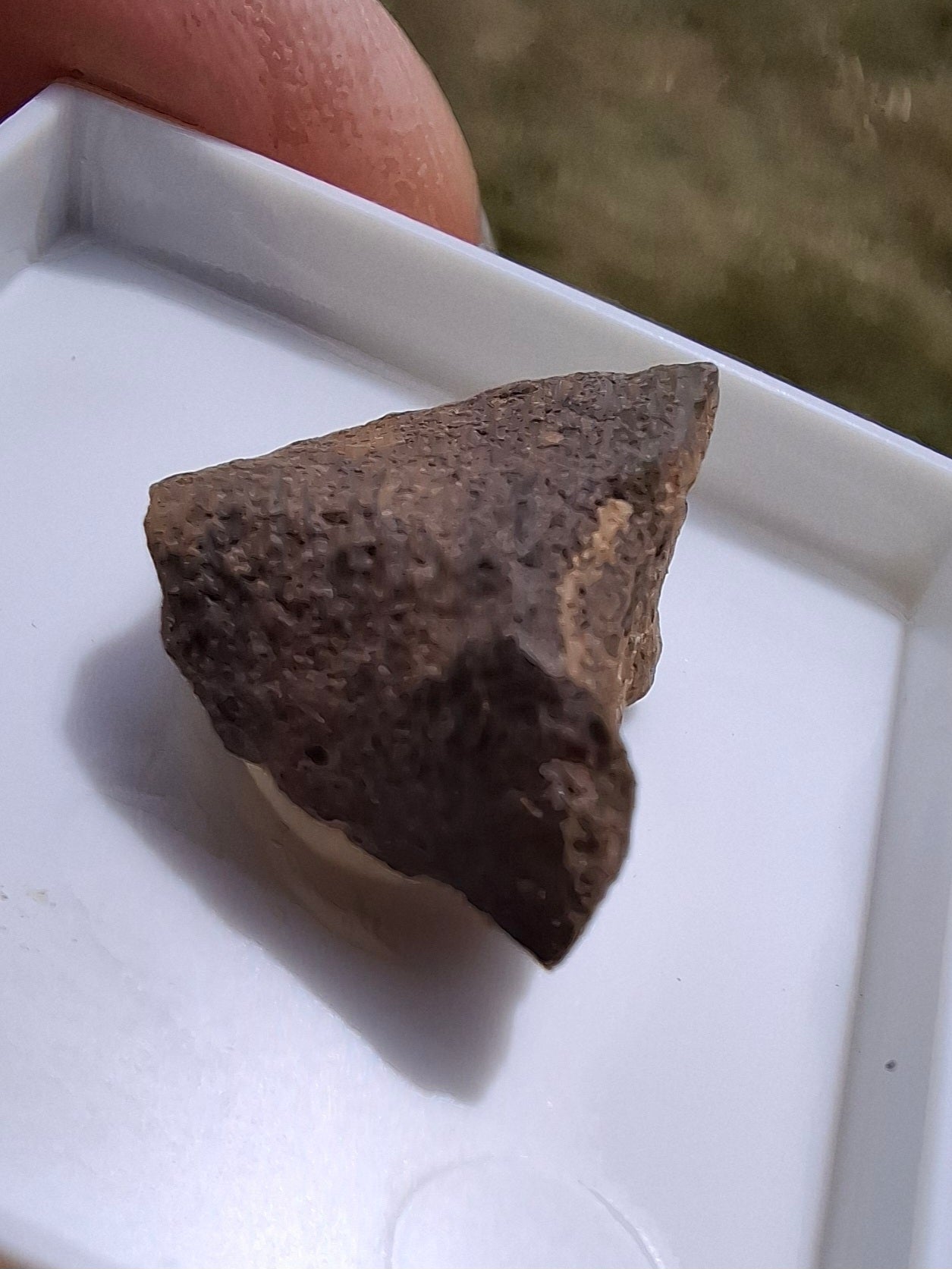 Chondrite, Meteorite (Ref: CM8)