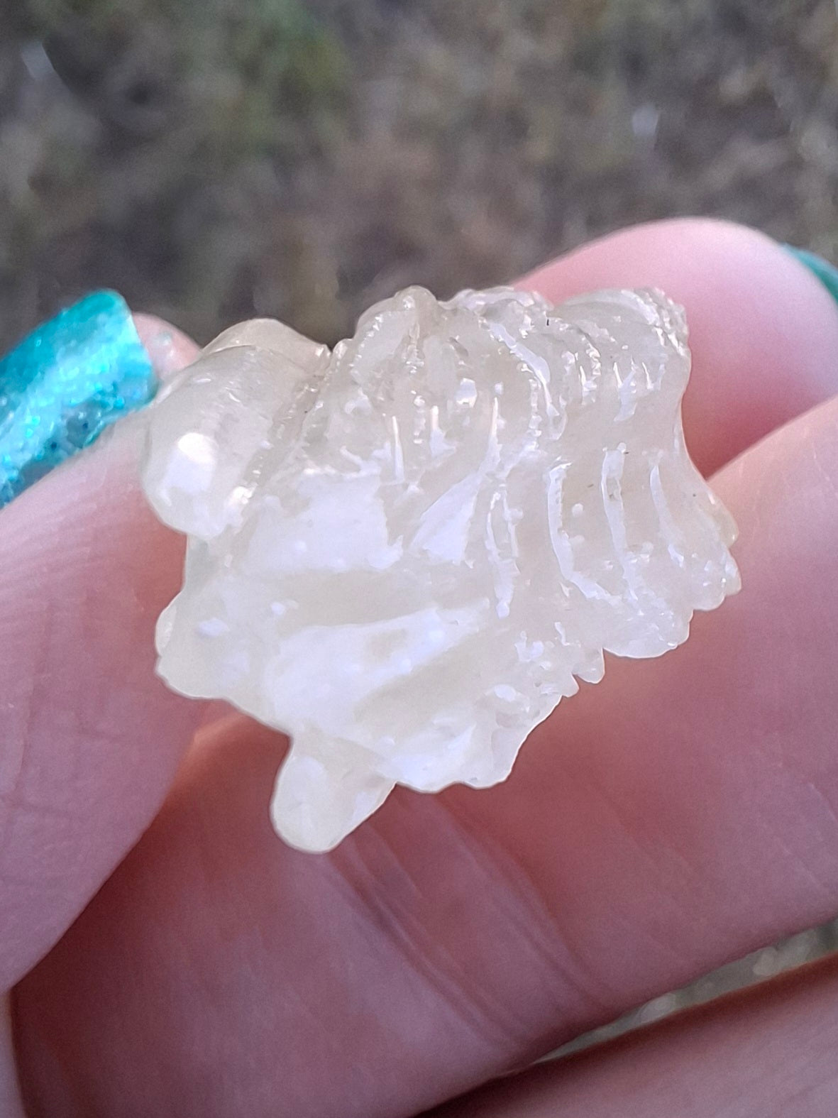 Libyan Desert Glass DRAGON HEAD carving, 9.66g, Tektite (Ref: Dragon 3)