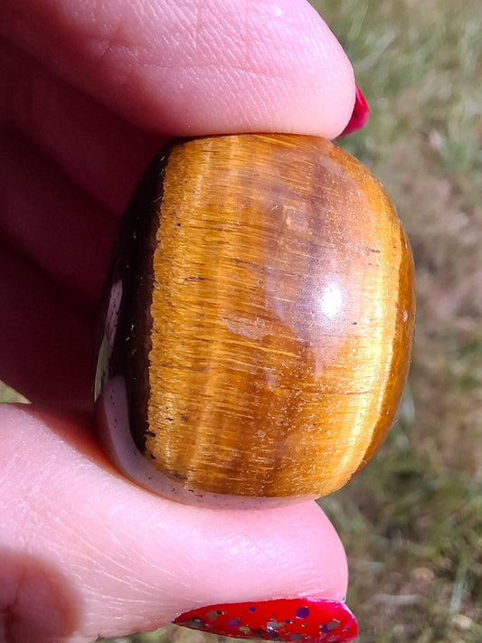 Tigers Eye, Tumble Stone, Crystal (Ref: T128)