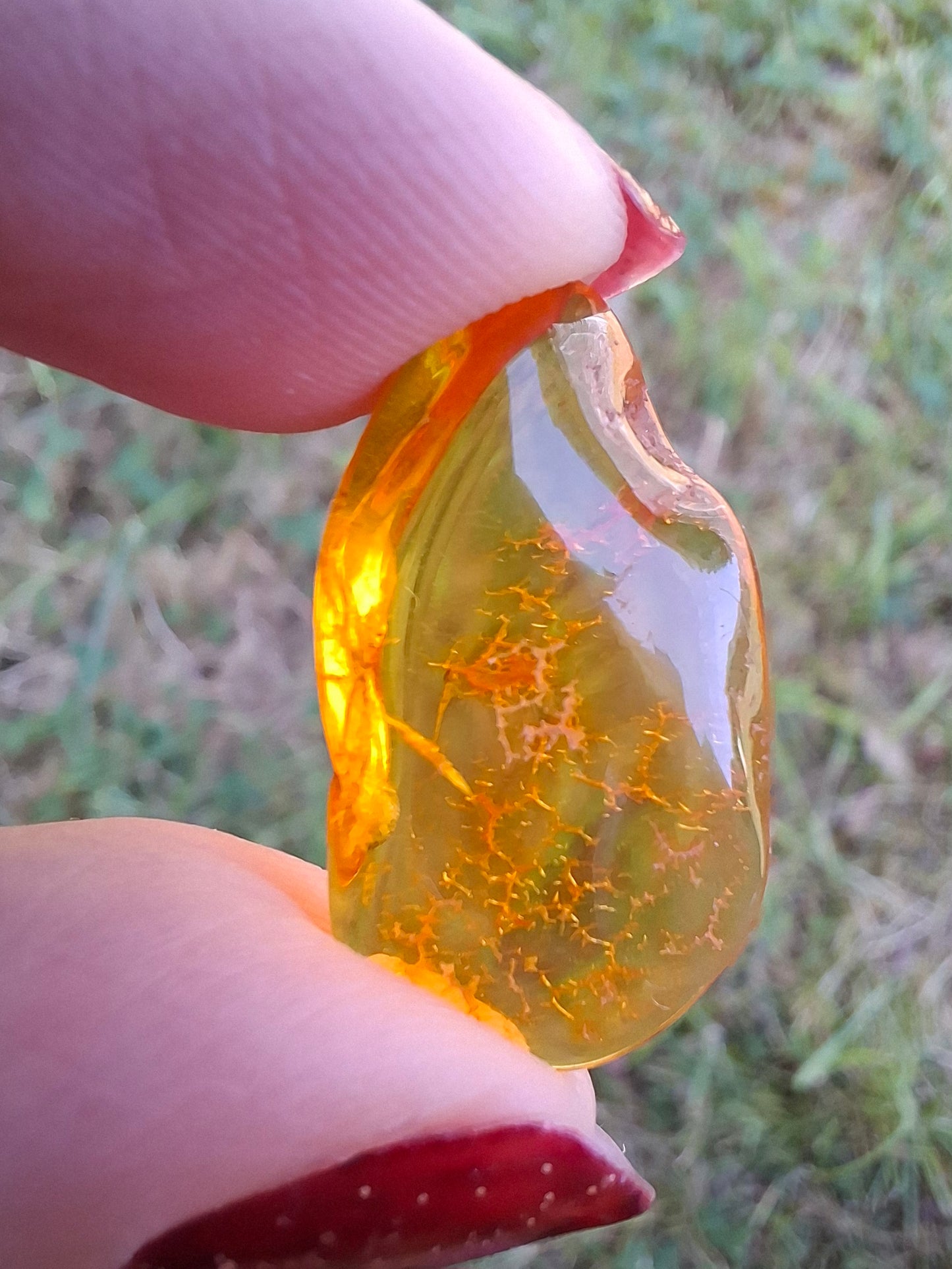 Baltic Amber, 1.16g, Fossil (Ref: A126)
