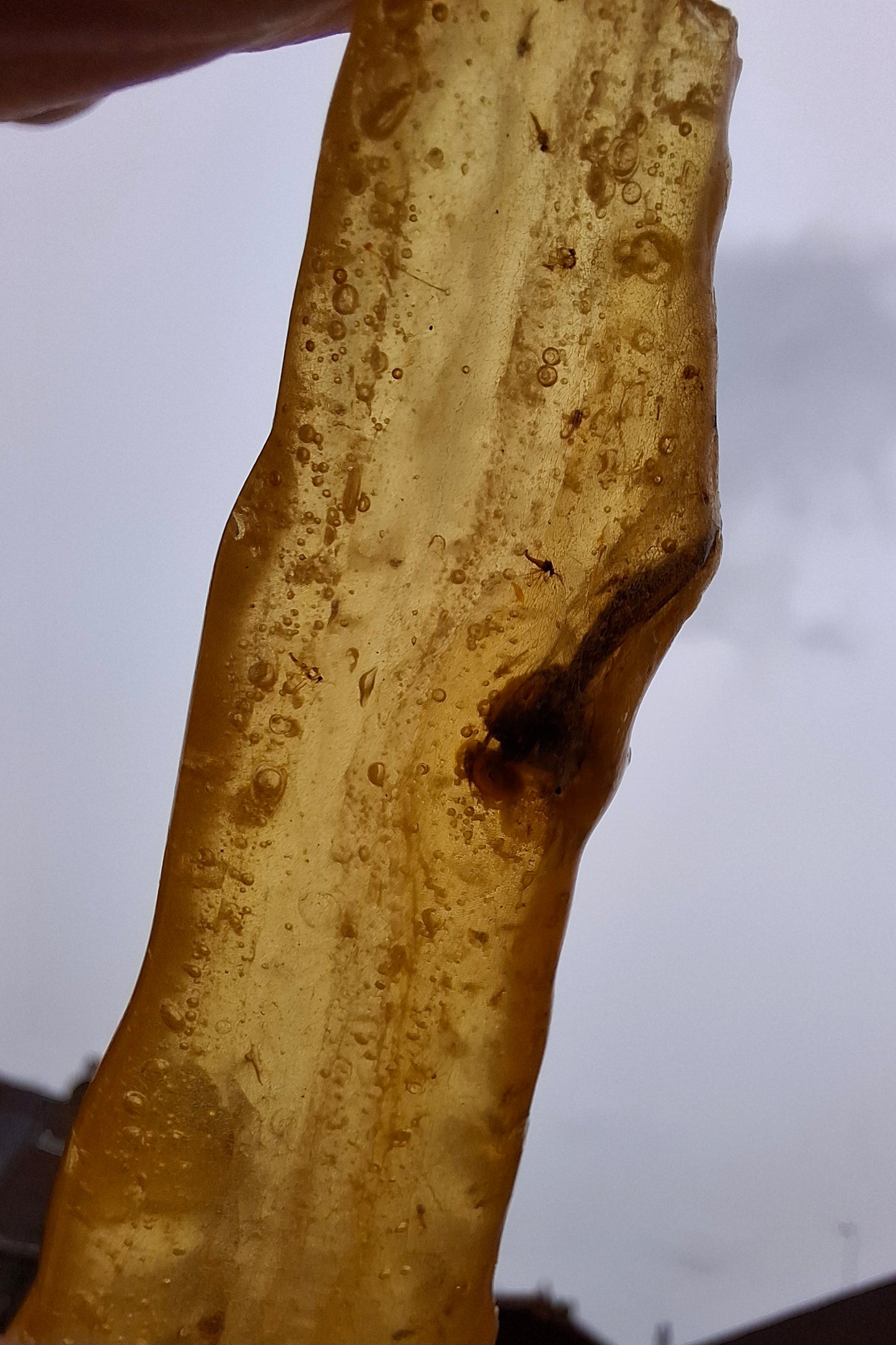 Copal Young Amber with INSECTS inside, 18.29g, Fossil (Ref: CA33)