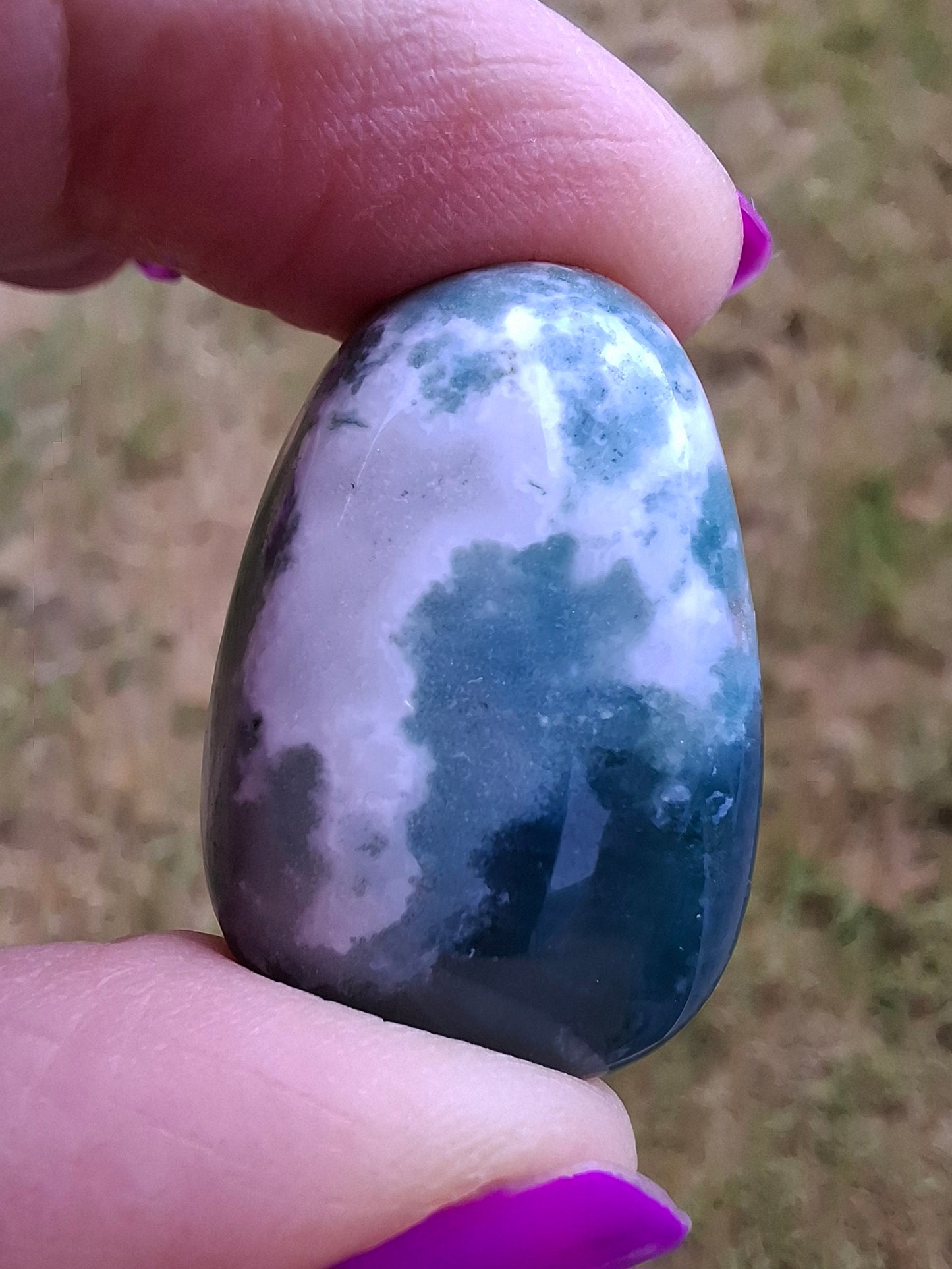 Tree Agate, Tumble Stone, Crystal (Ref: T4)