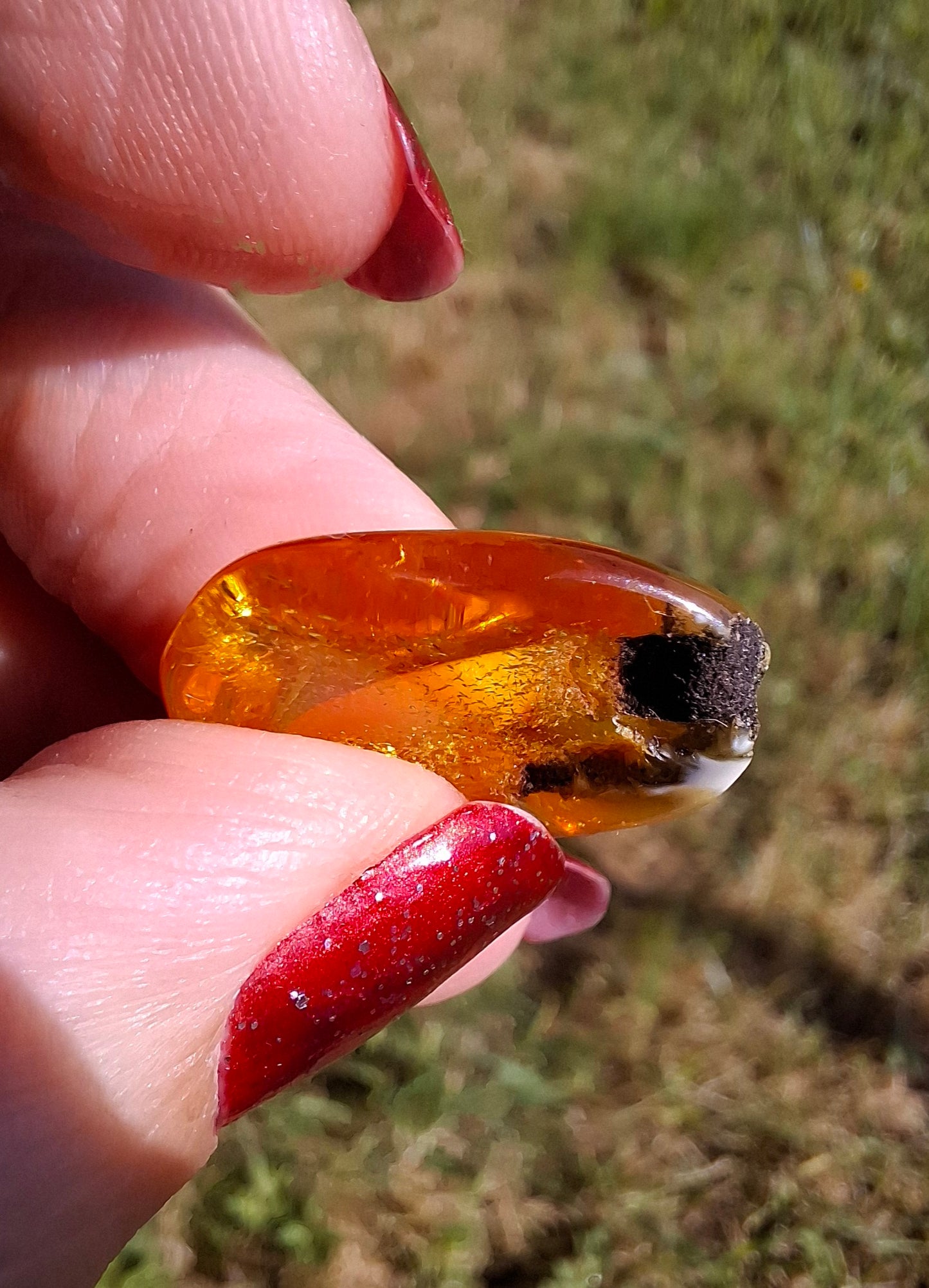 Baltic Amber, 1.45g, Fossil (Ref: A76)